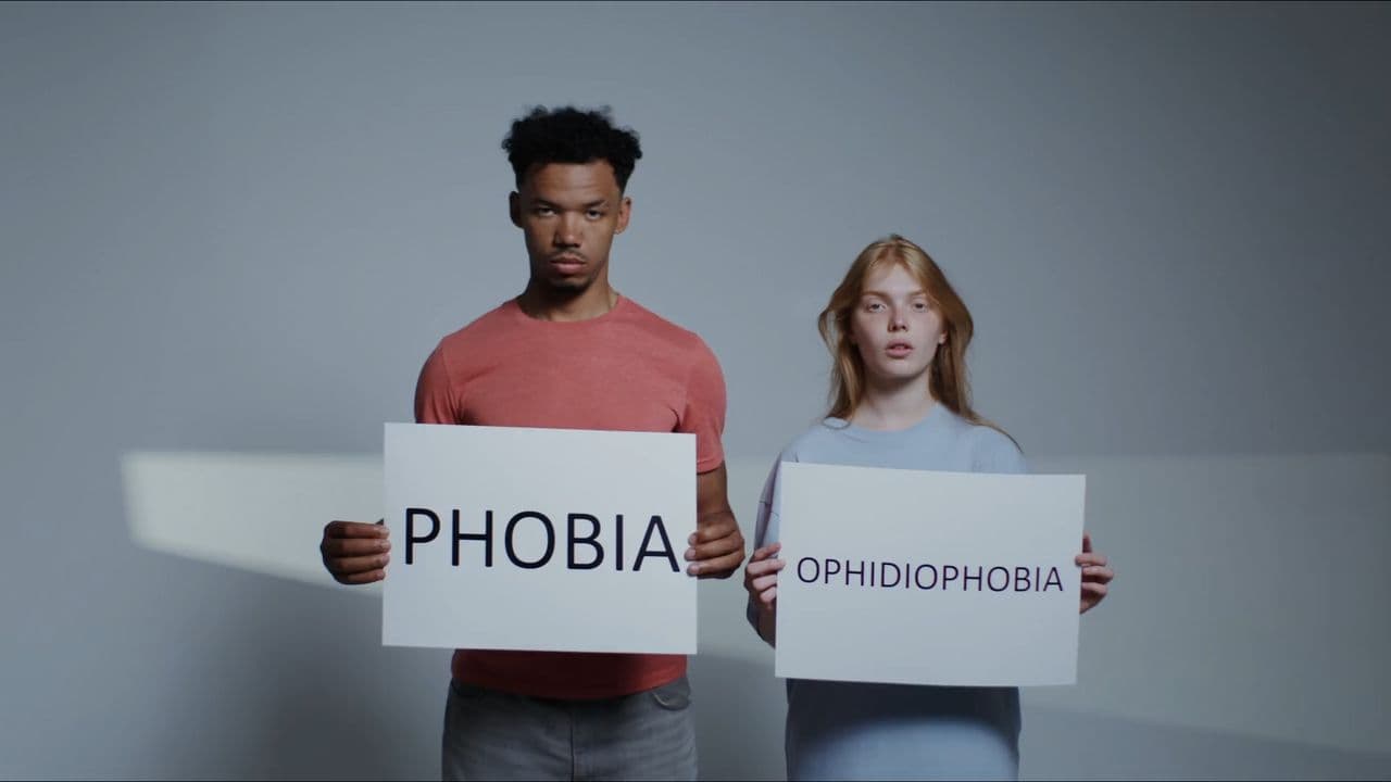 Lesson-06-Unlearning Fear for Success