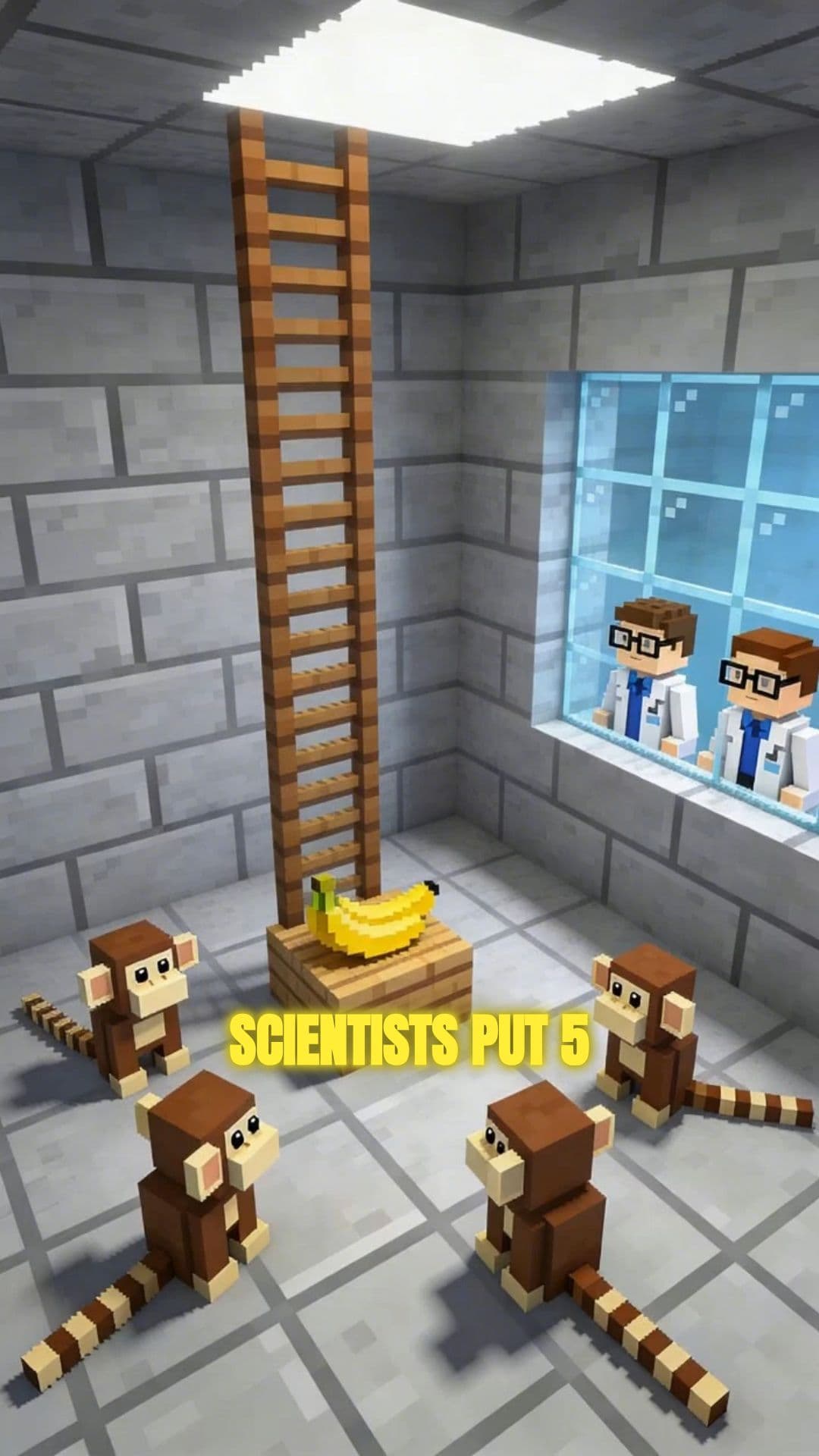 The Monkey Ladder Lesson