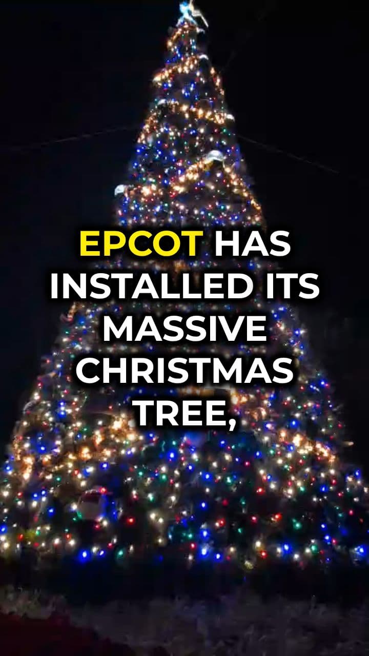 Disney World Decks Out for Christmas Season