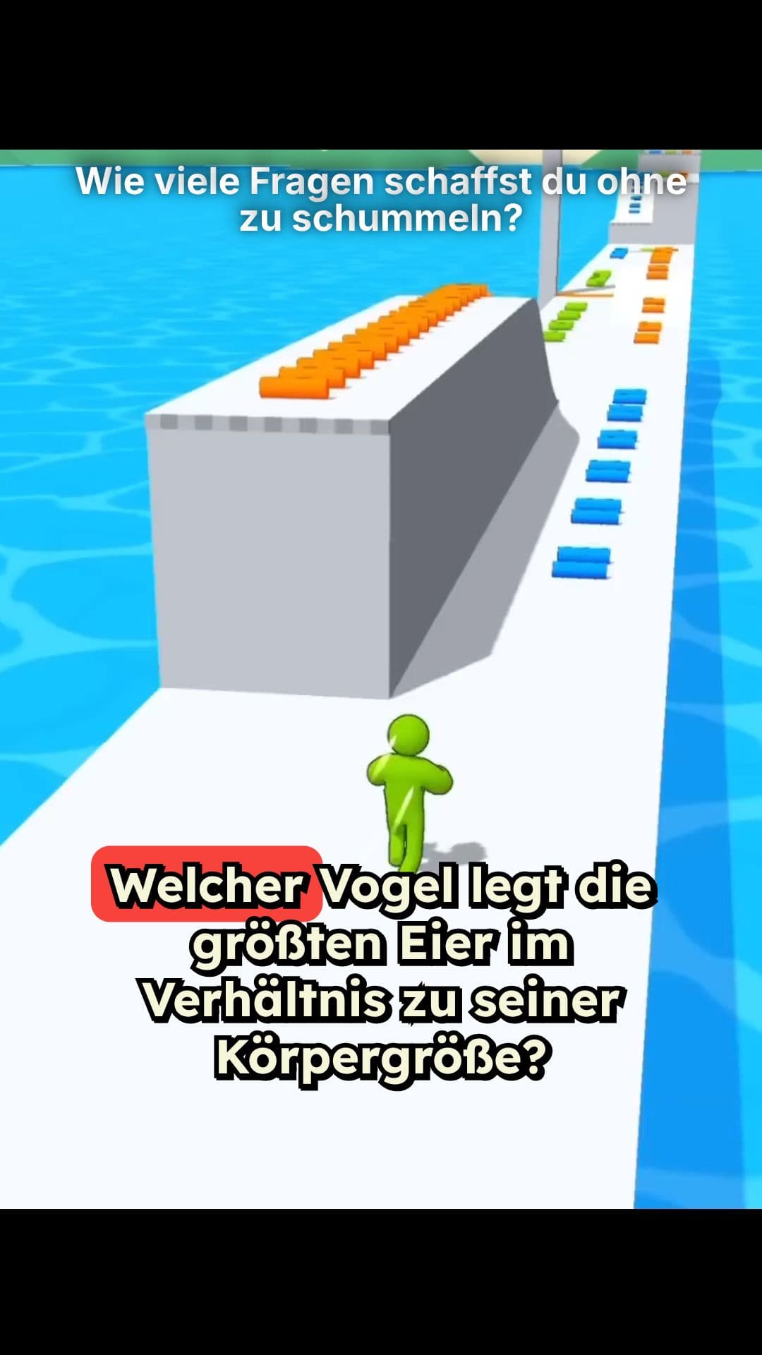 Wie viele Fragen schaffst du ohne zu schummeln?