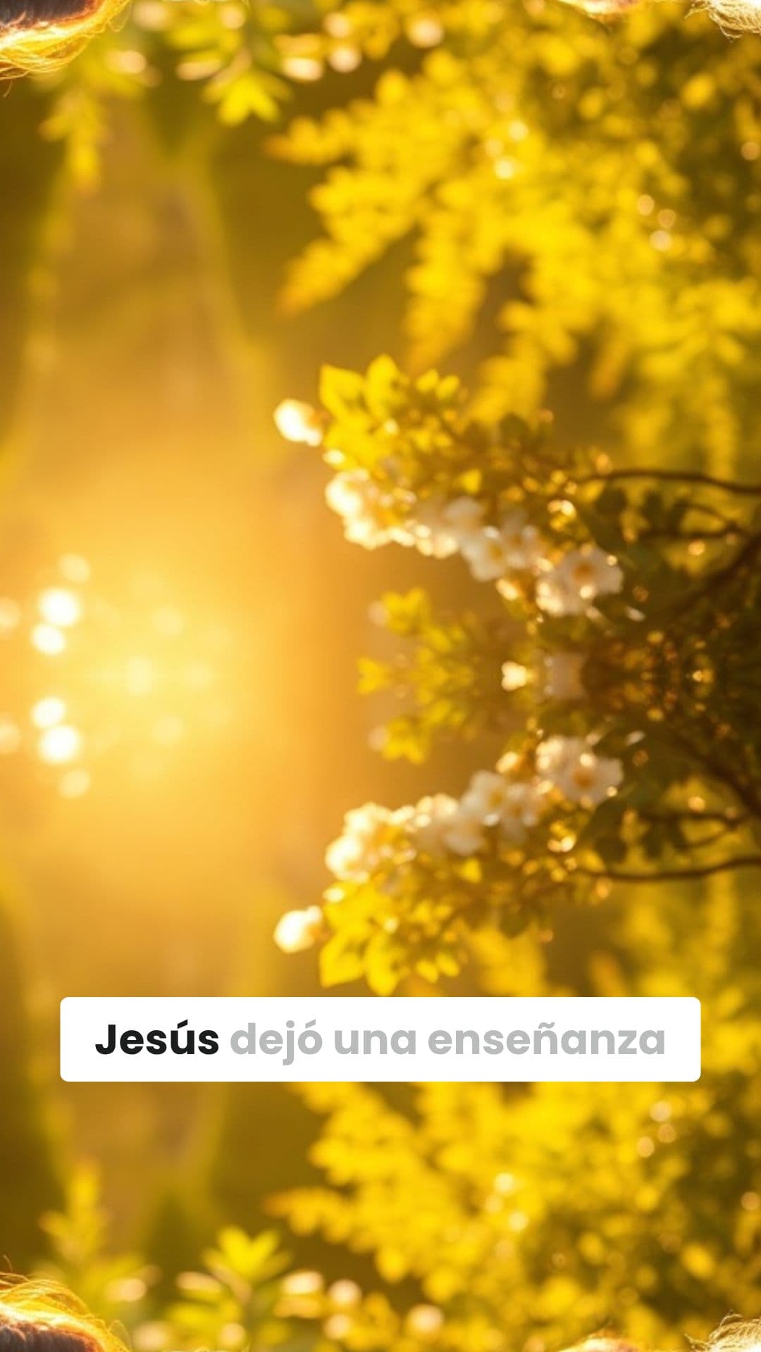 Ama a tu vecino sin condiciones