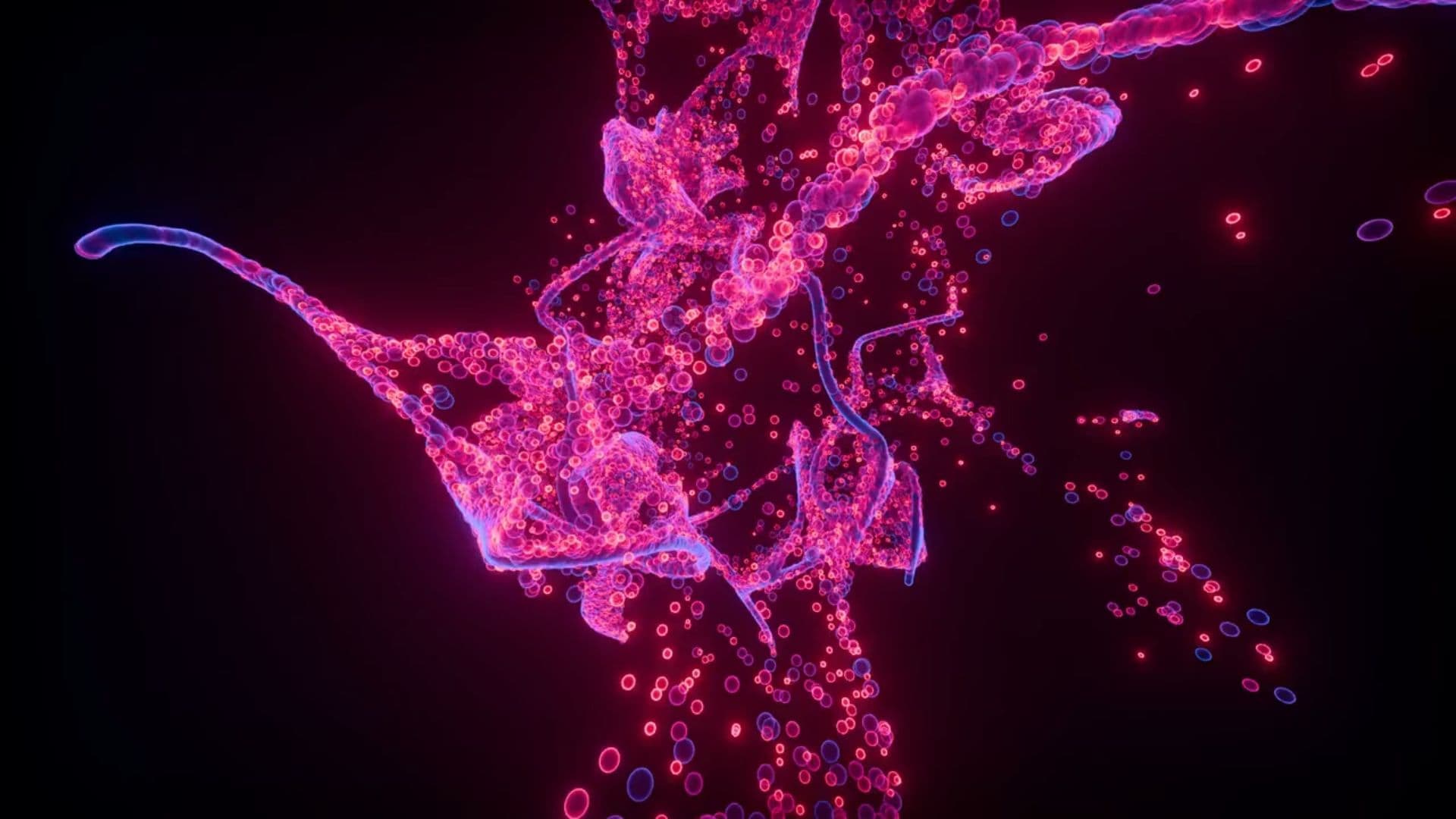 Run with the Rhythm of You