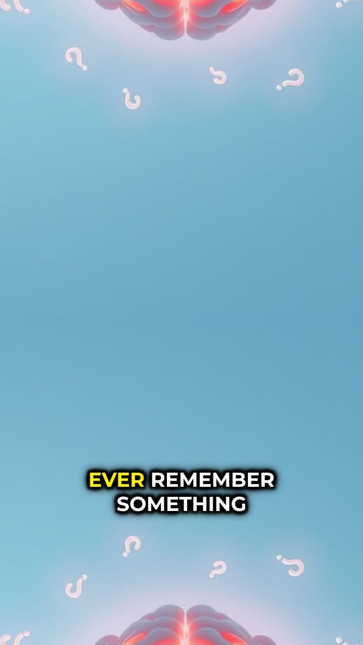 The Mandela Effect Explained