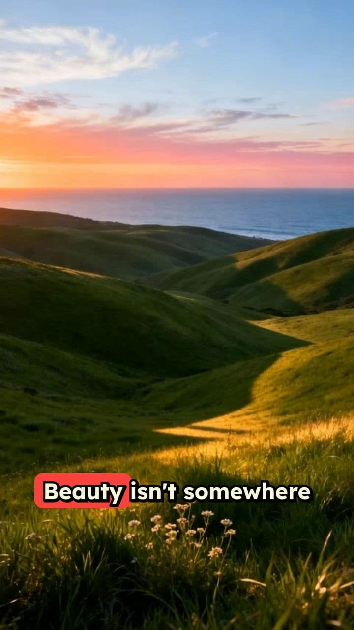 Finding Beauty in the Everyday