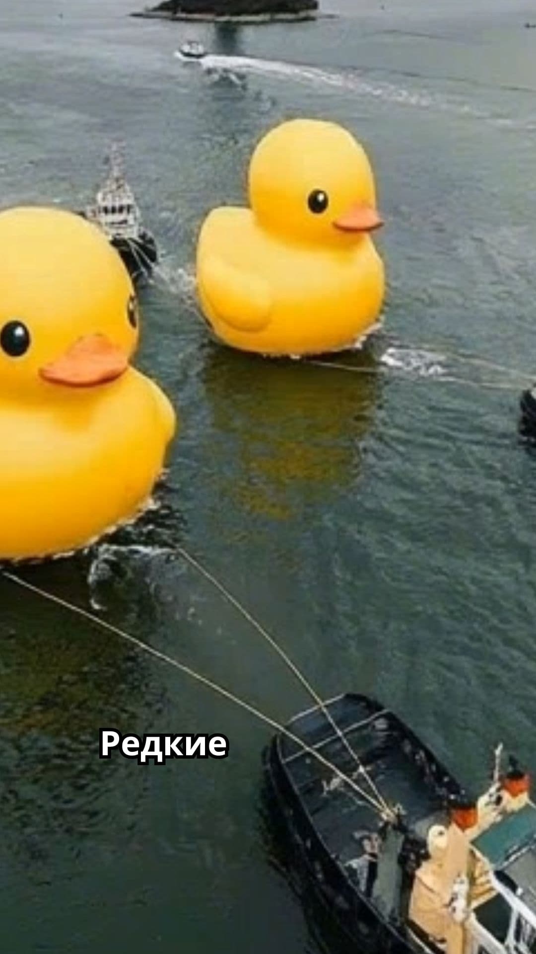 Удивительные факты о мире