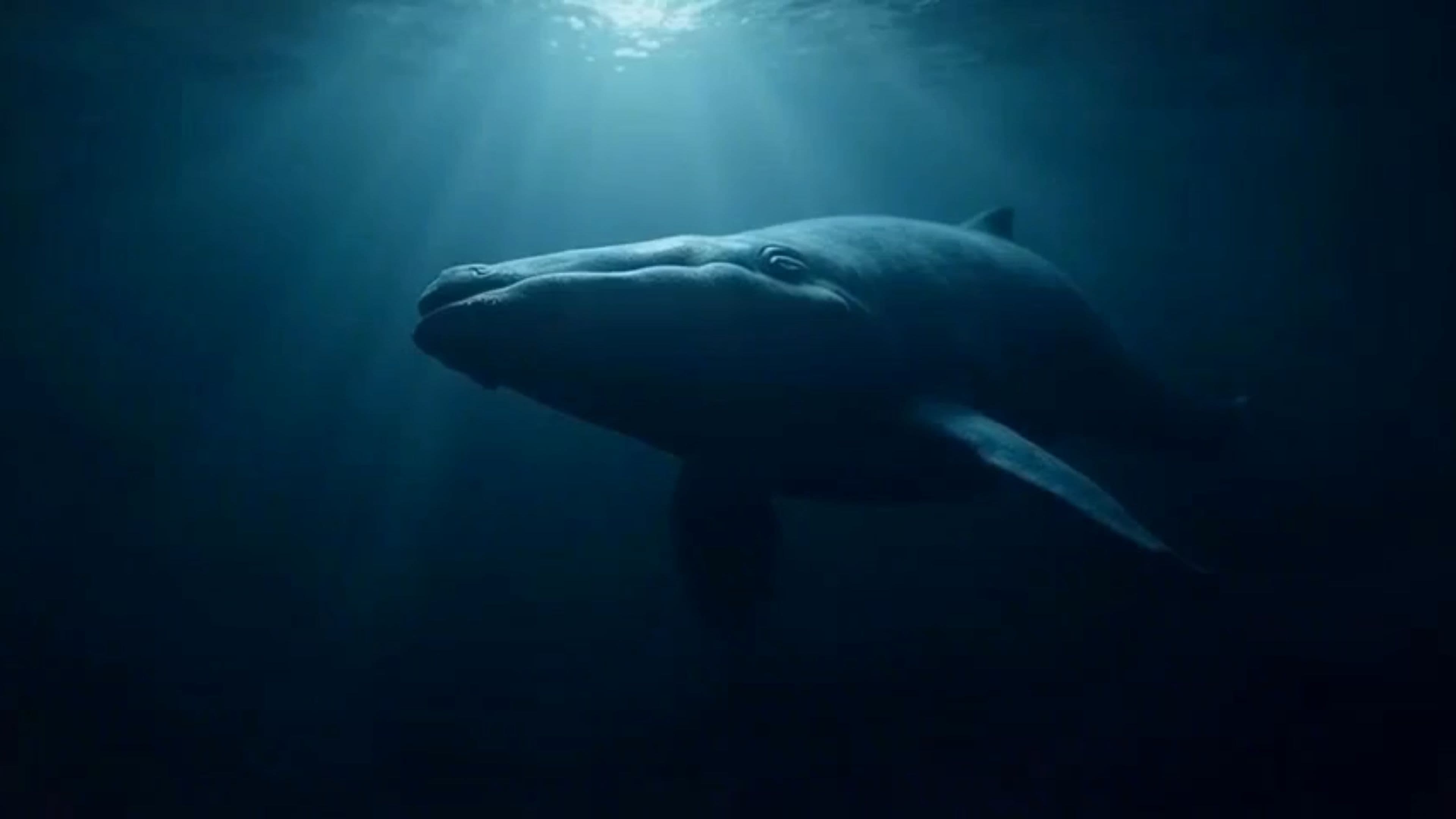 Whales' Vertical Slumber: An Underwater Symphony