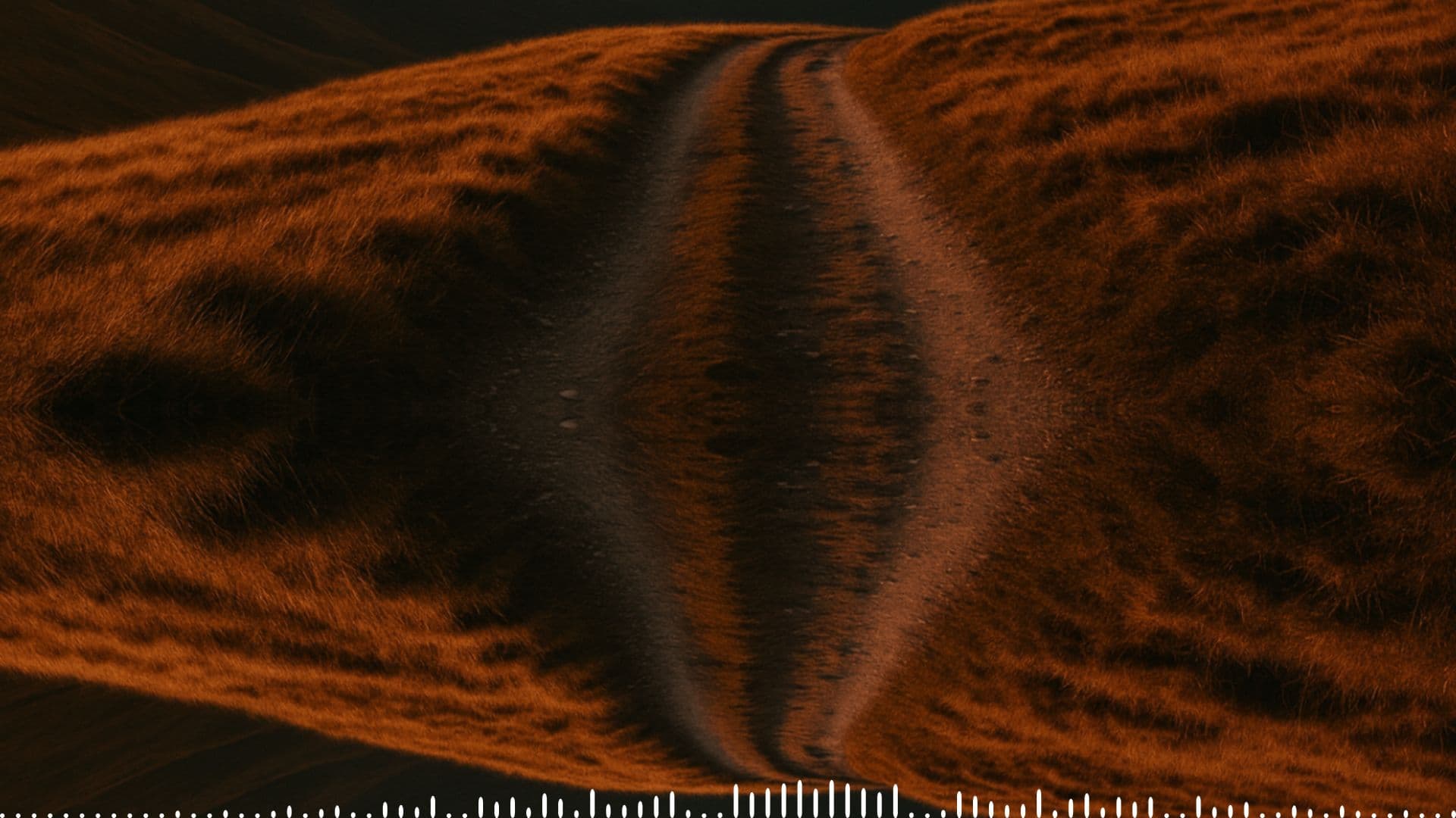 Confianza y valentía en la adversidad