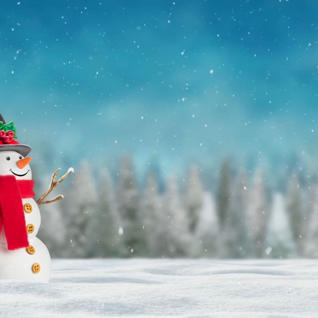 Holiness of the Night