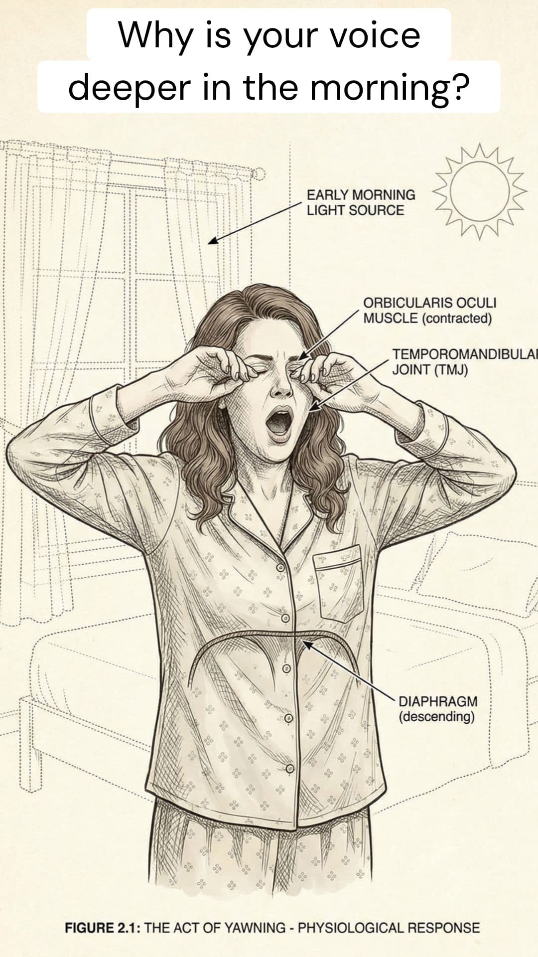 Why Does Your Voice Sound Deeper in the Morning? | RapidSmartFacts