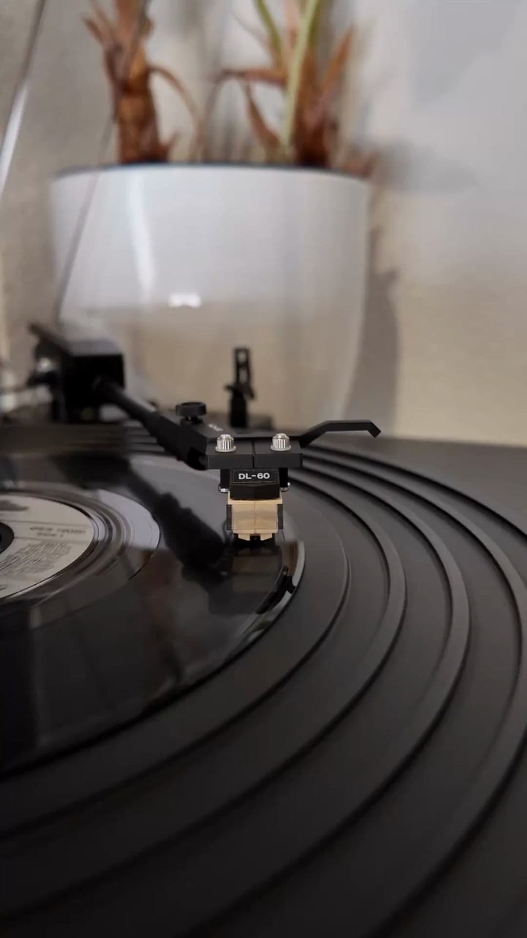 Vinyl Record Playing