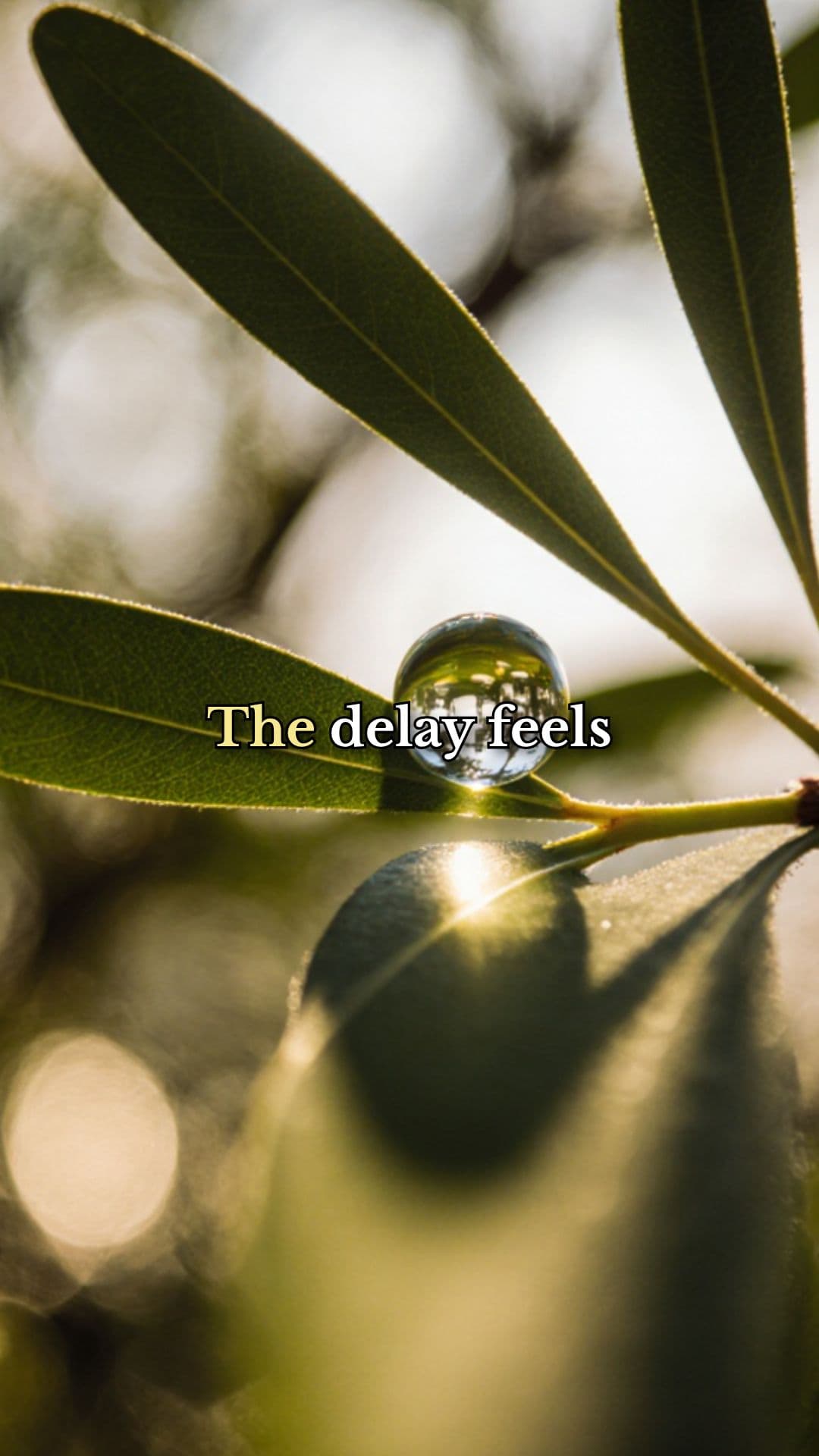 Precision in Patience