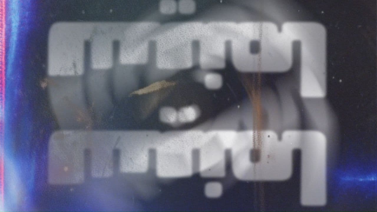 ويلد كات: حياة فلانيري أوكونور