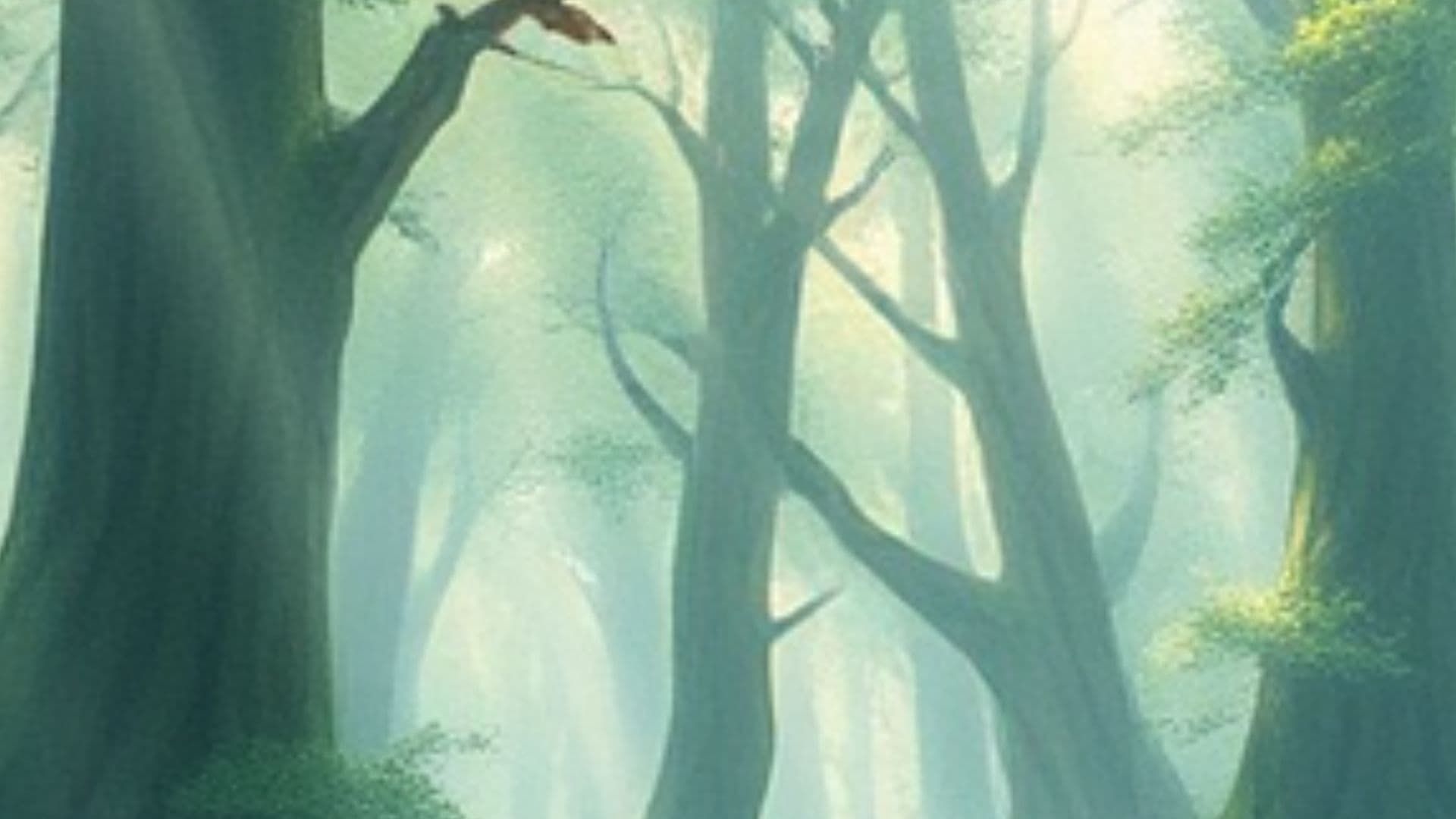 A Sombra do Quintal Ainda Acena