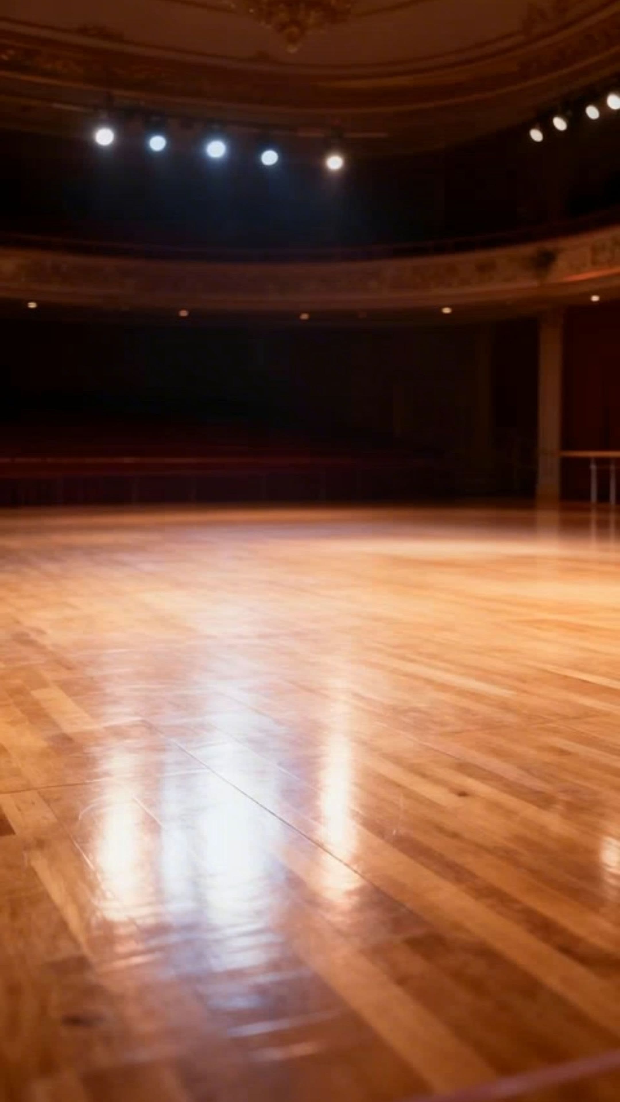 Happy Solo Ballet Performance