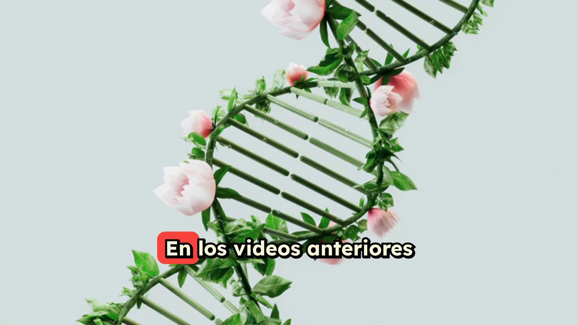 Sistema de Regeneración Celular Cerule