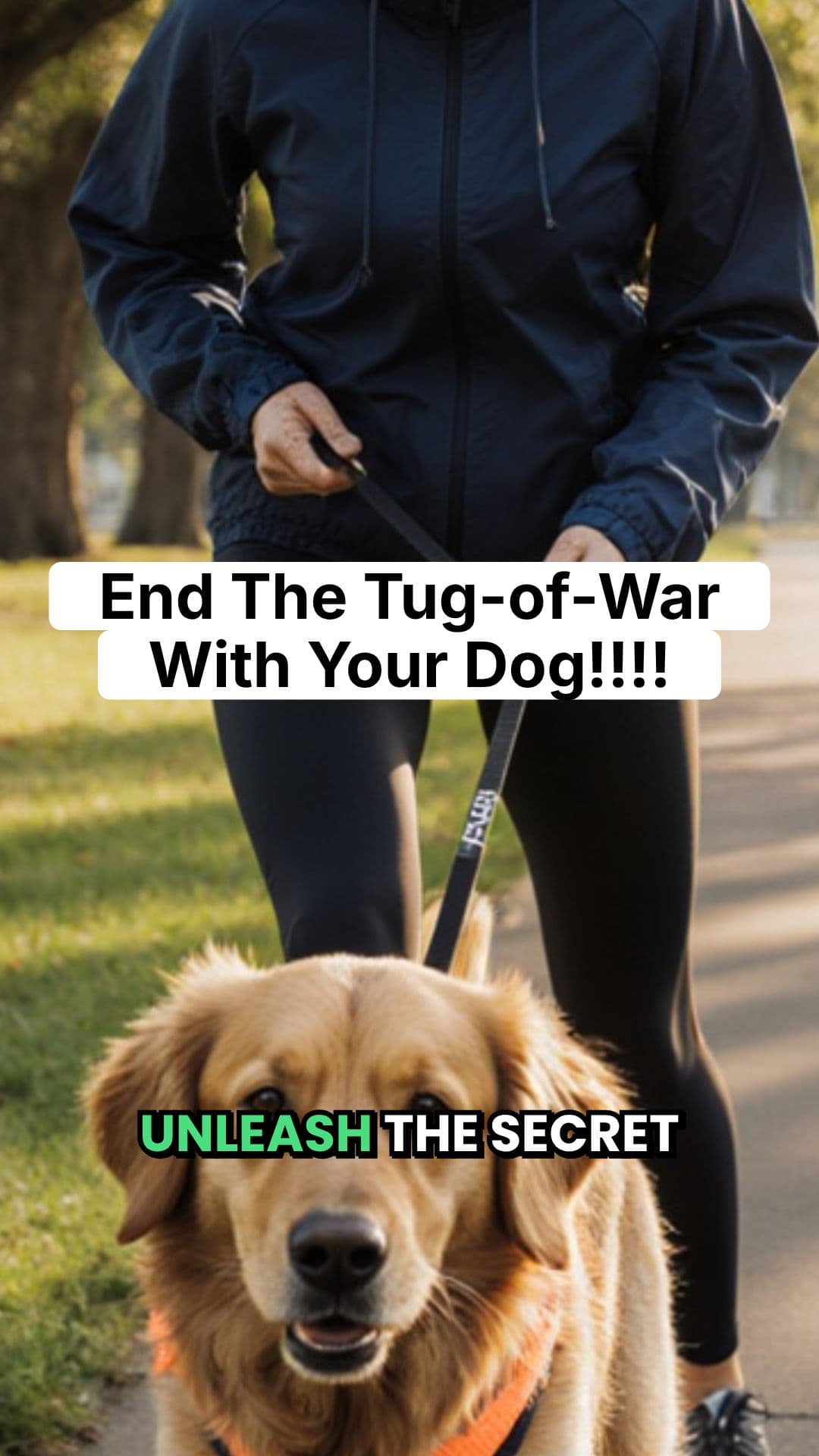 Stop Dog Pulling With Statue Trick