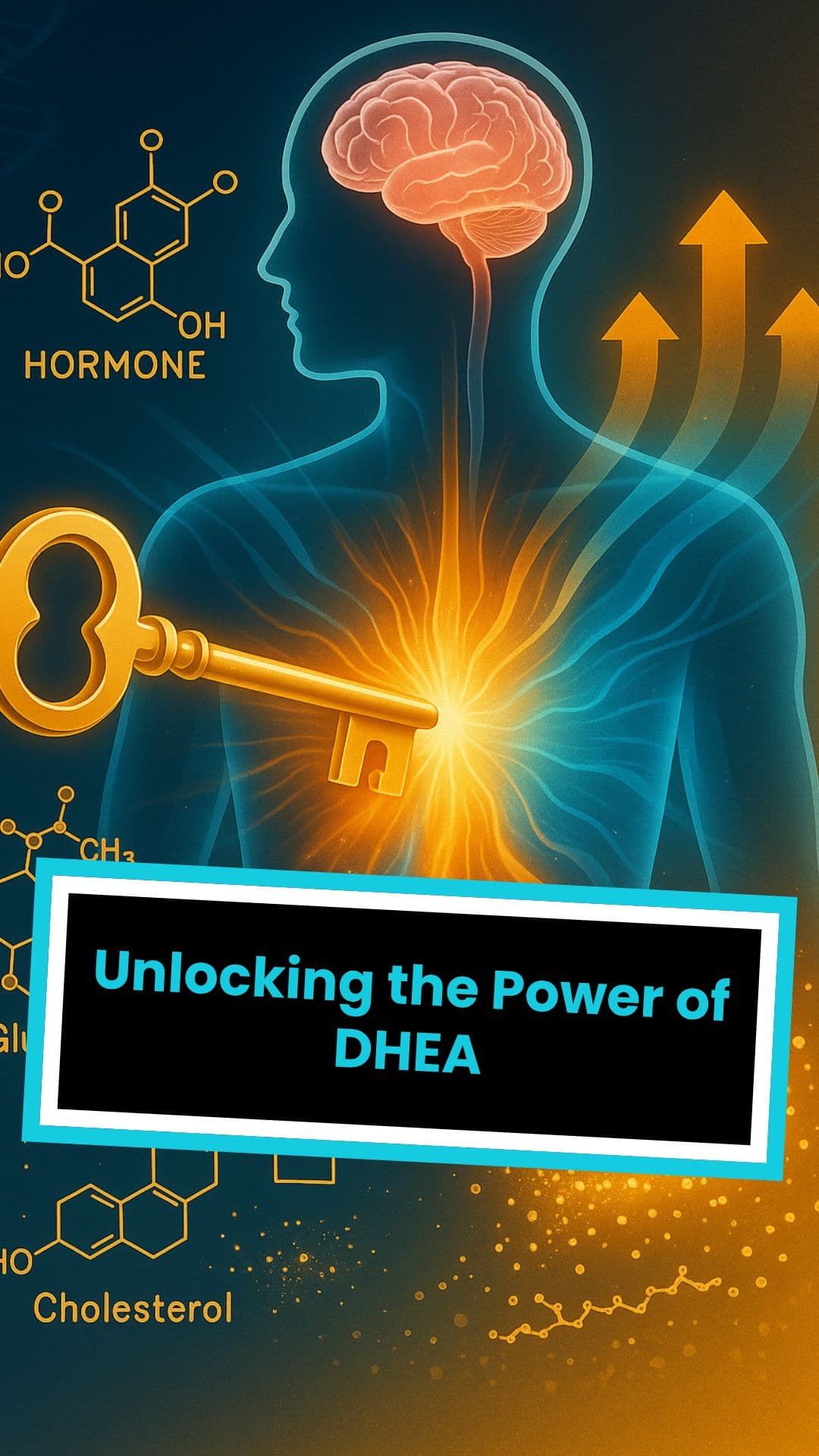 Unlocking the Power of DHEA