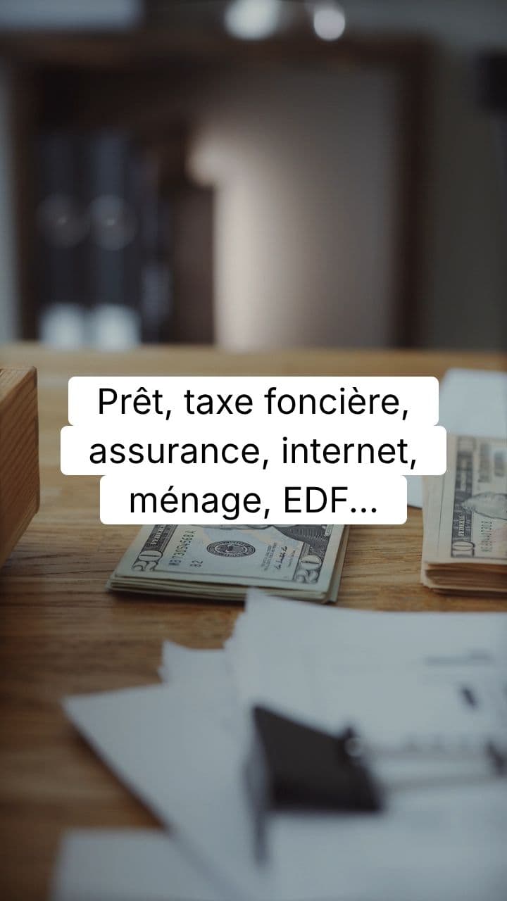 Seuil de Survie Financière