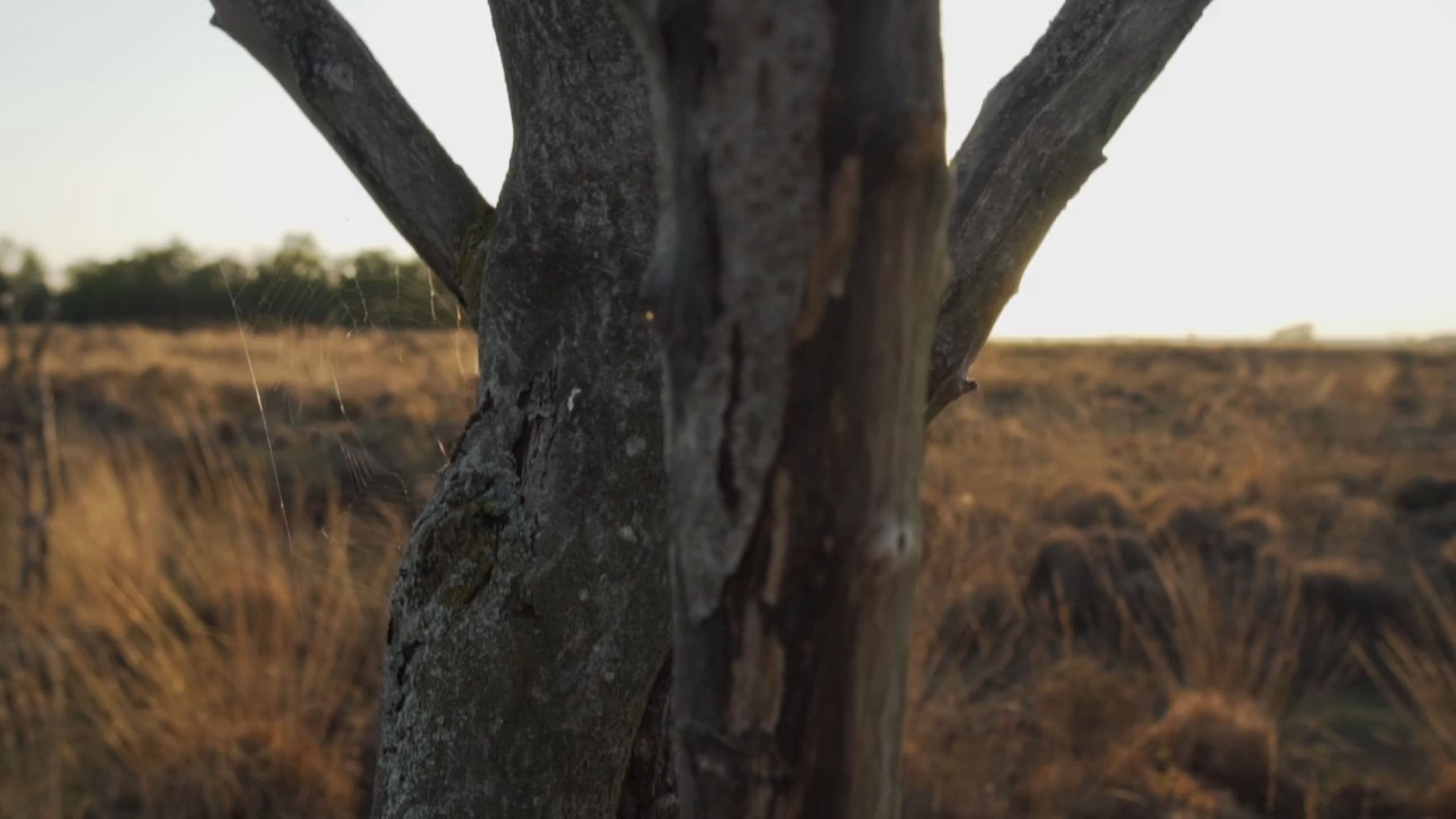 Come to Me and Find Rest