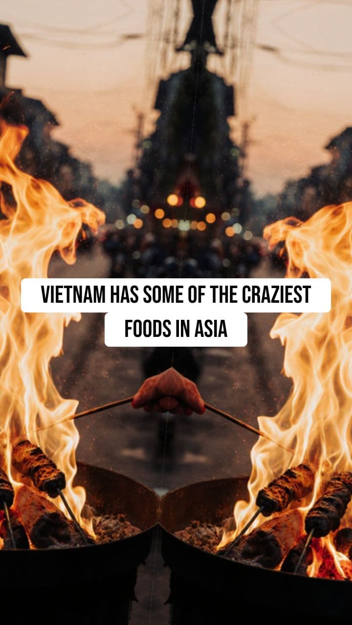Vietnam's Wildest Dishes