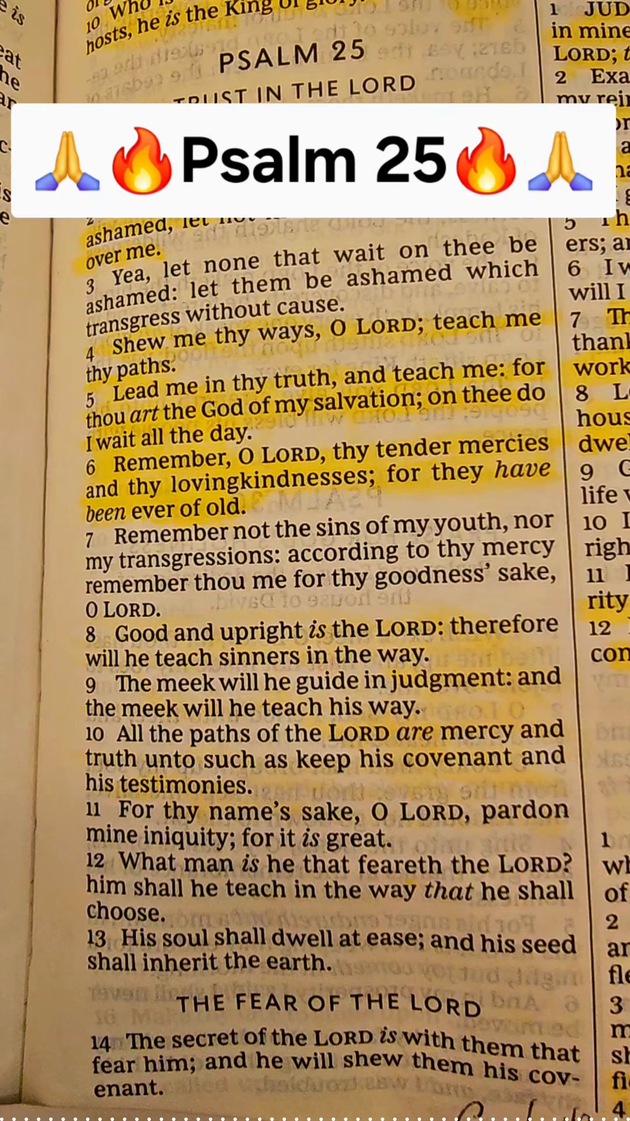 Trust in the Lord's Guidance