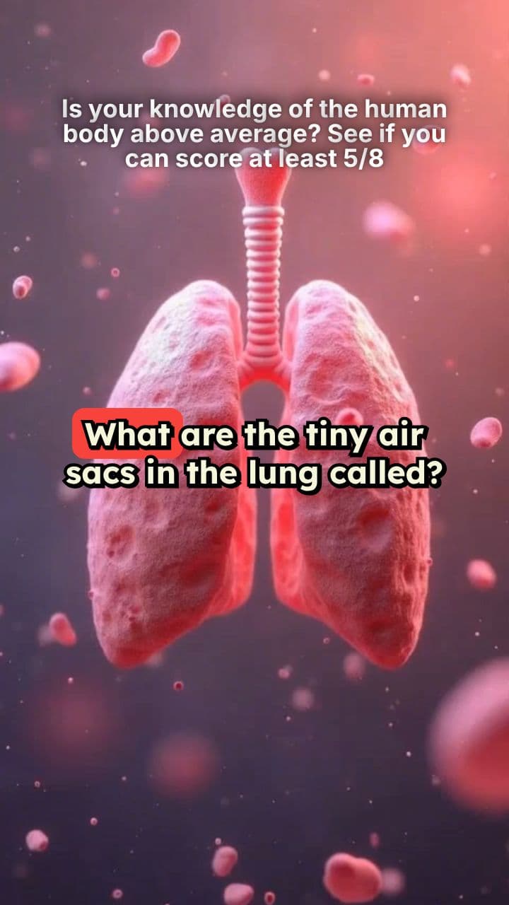 Is your knowledge of the human body above average? See if you can score at least 5/8