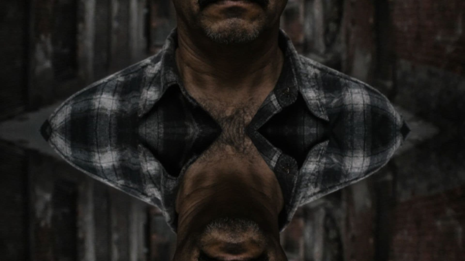 Despertar del Olvido