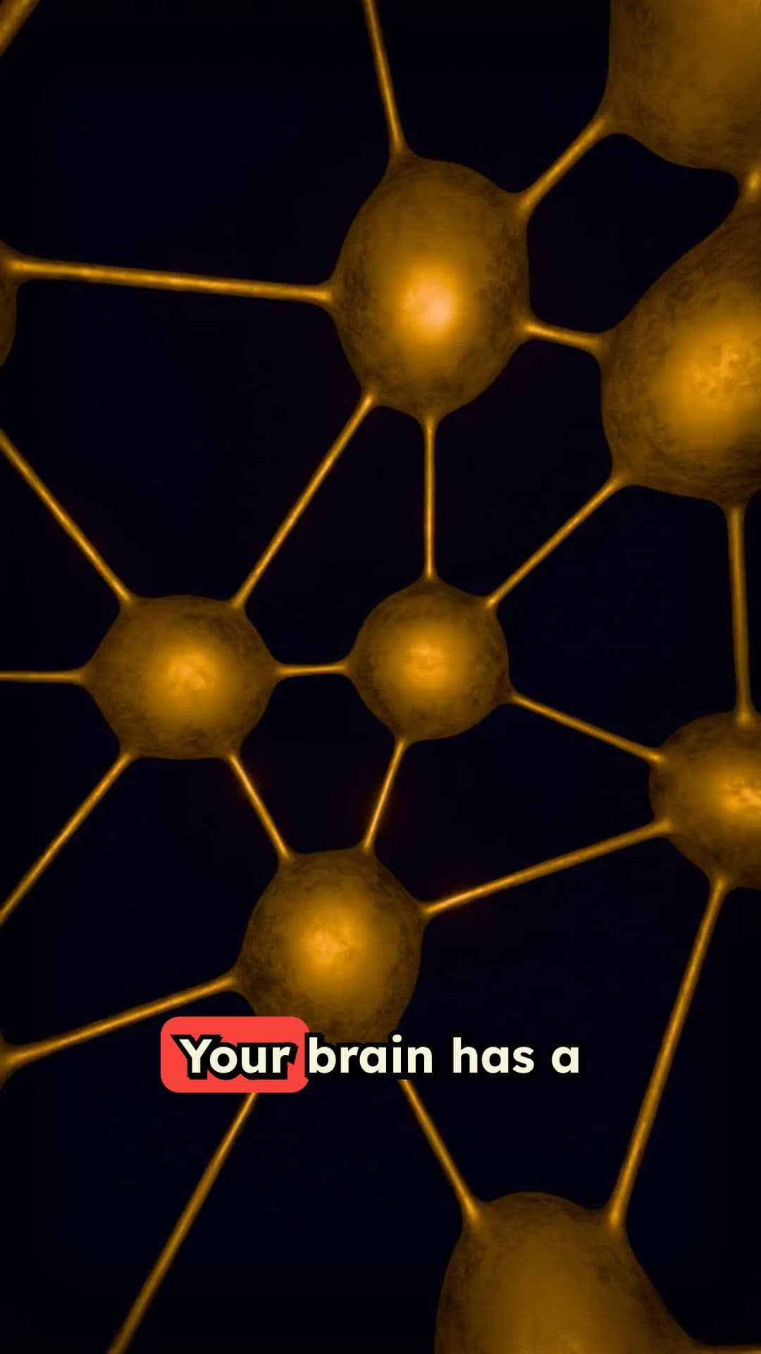 Your Brain’s Digital Twin