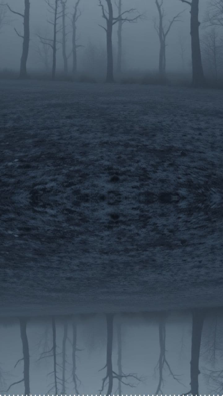 Goodbye into the Night