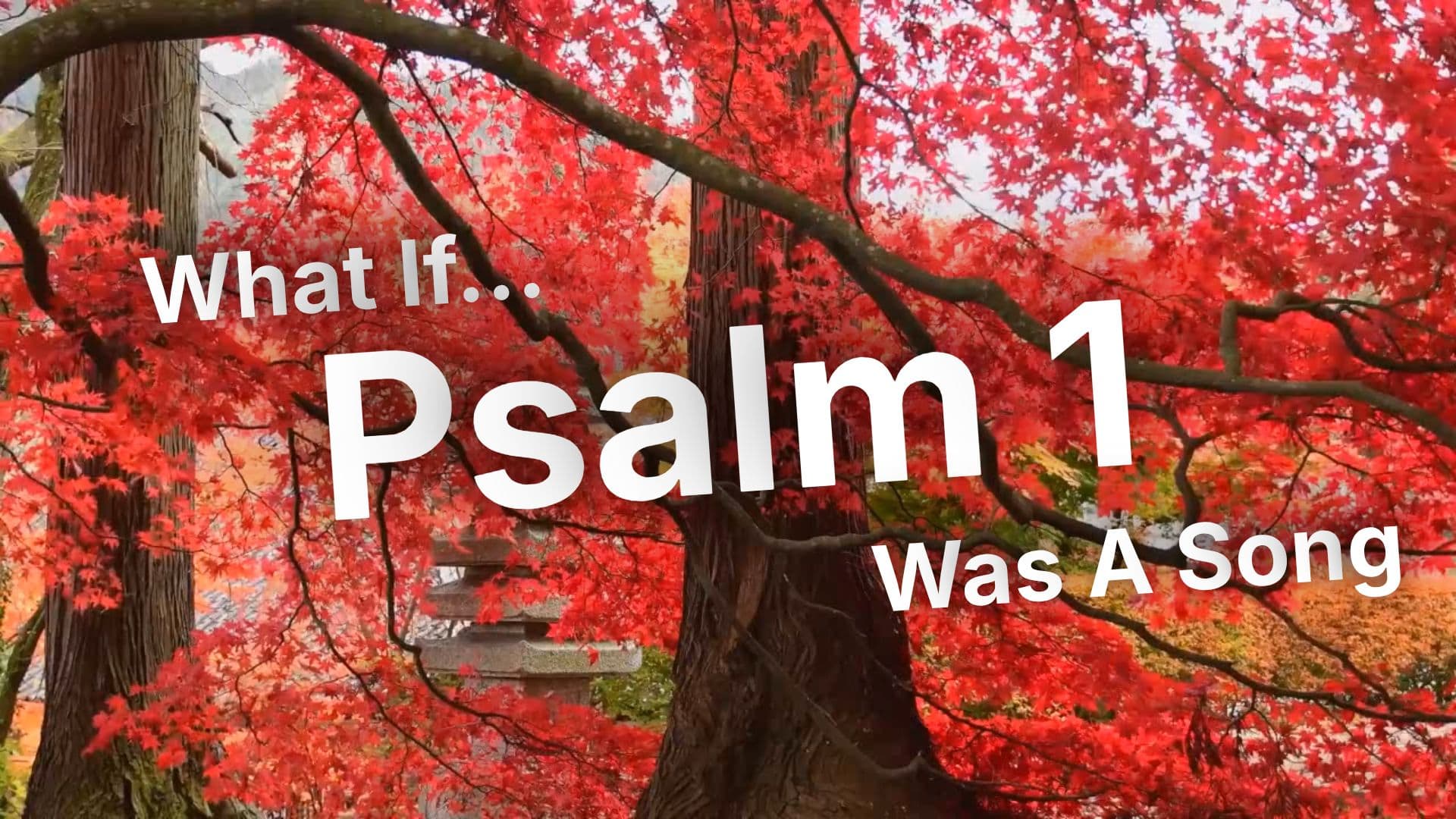 Blessed Is the Man (duplicated)