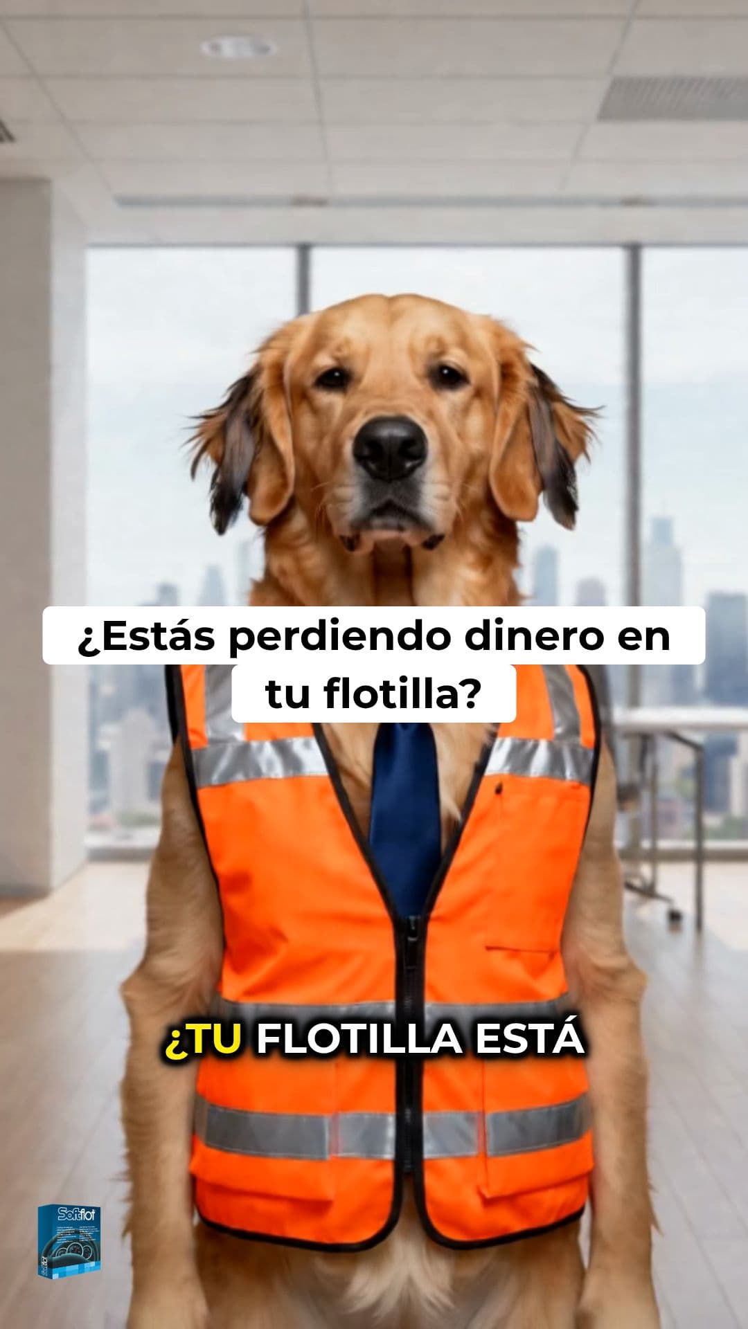 SoftFlot: Control de Flotillas