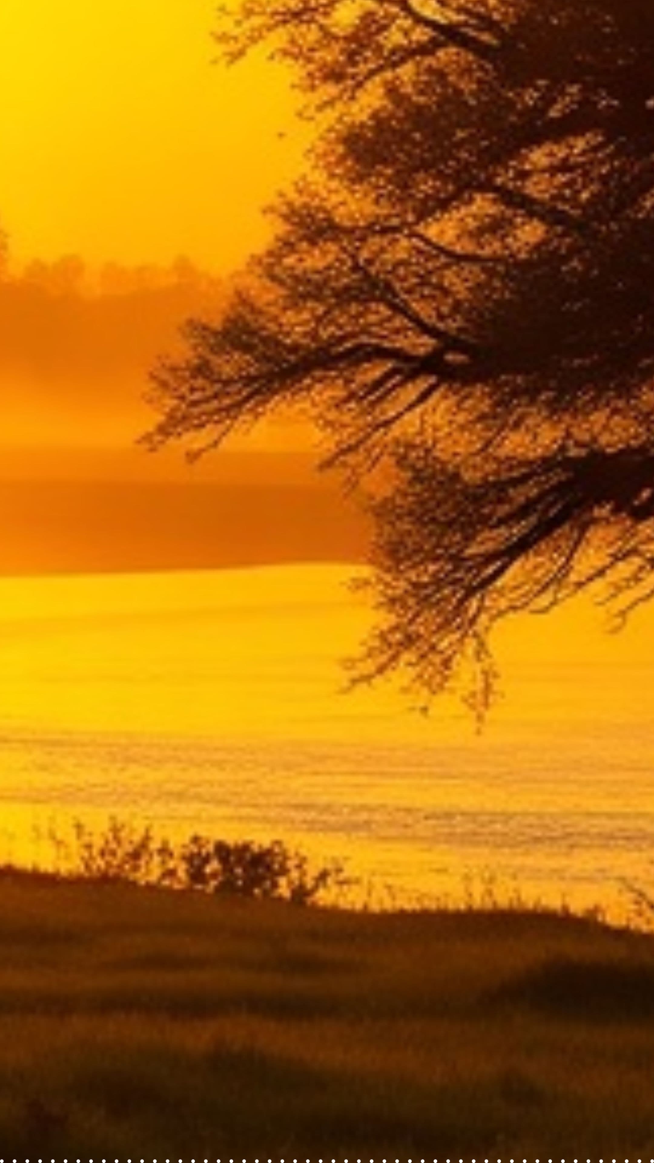 Trees by Streams of Water