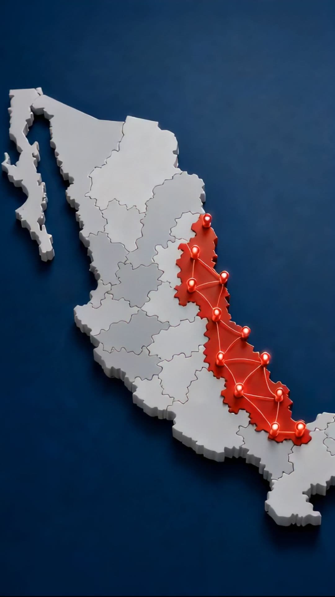 Estructura Organizativa de Veracruz