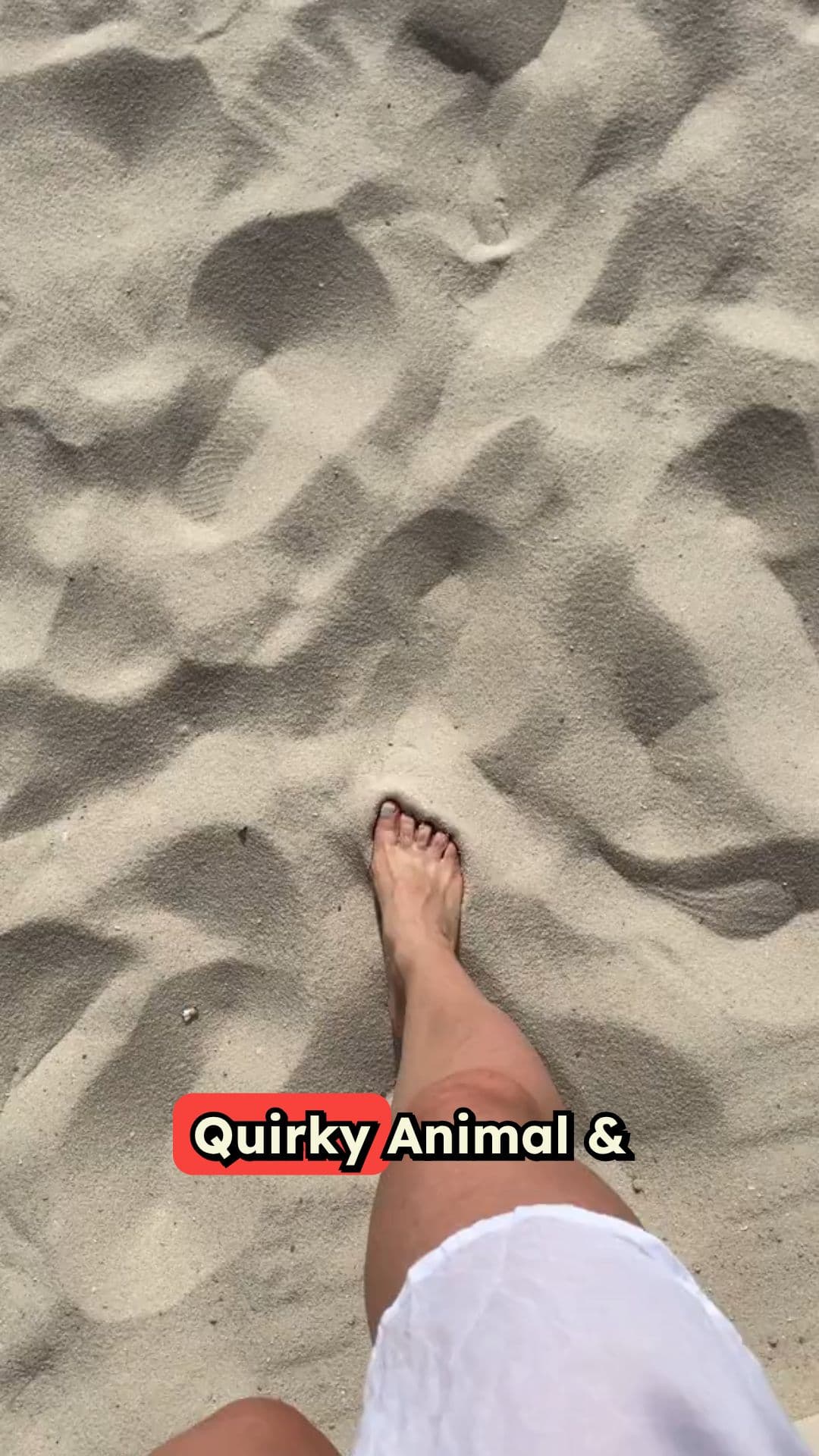 Quirky Animal and Human Fun Facts