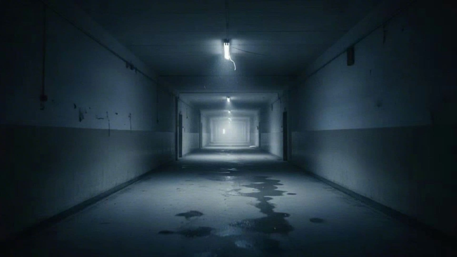 Christoph Klein: Der Kampf um die Wahrheit (duplicated)