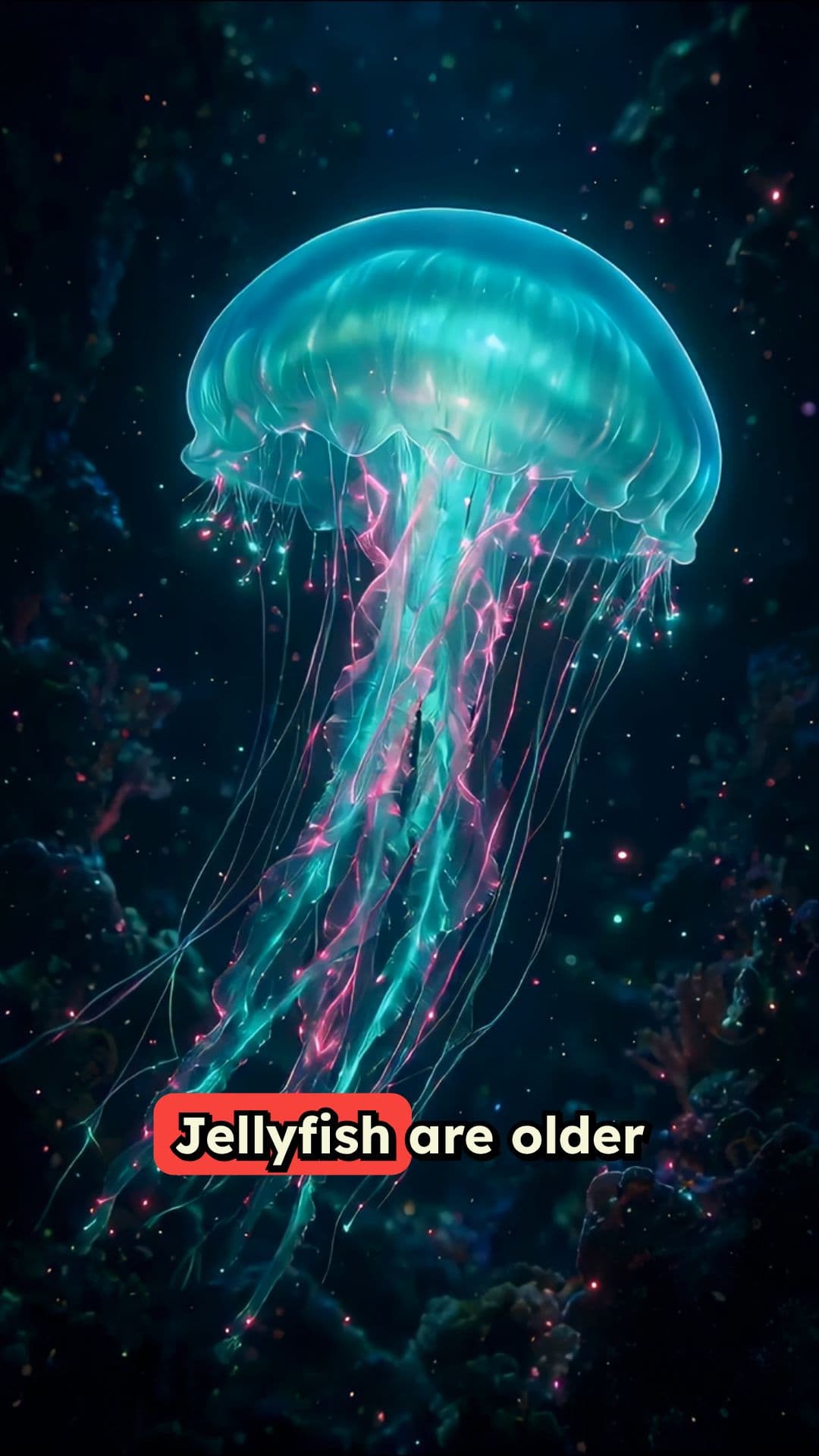 Jellyfish: Older Than Dinosaurs & Trees
