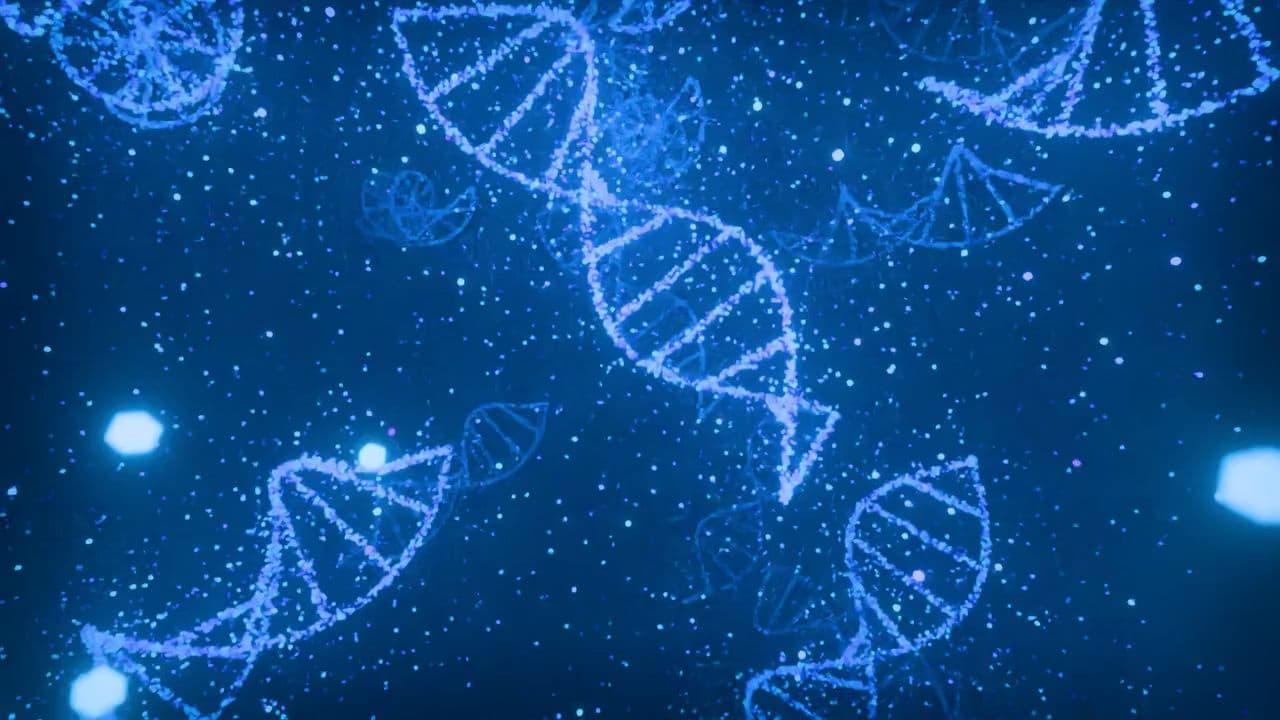 Lesson-08-Never Settle for Satisfaction