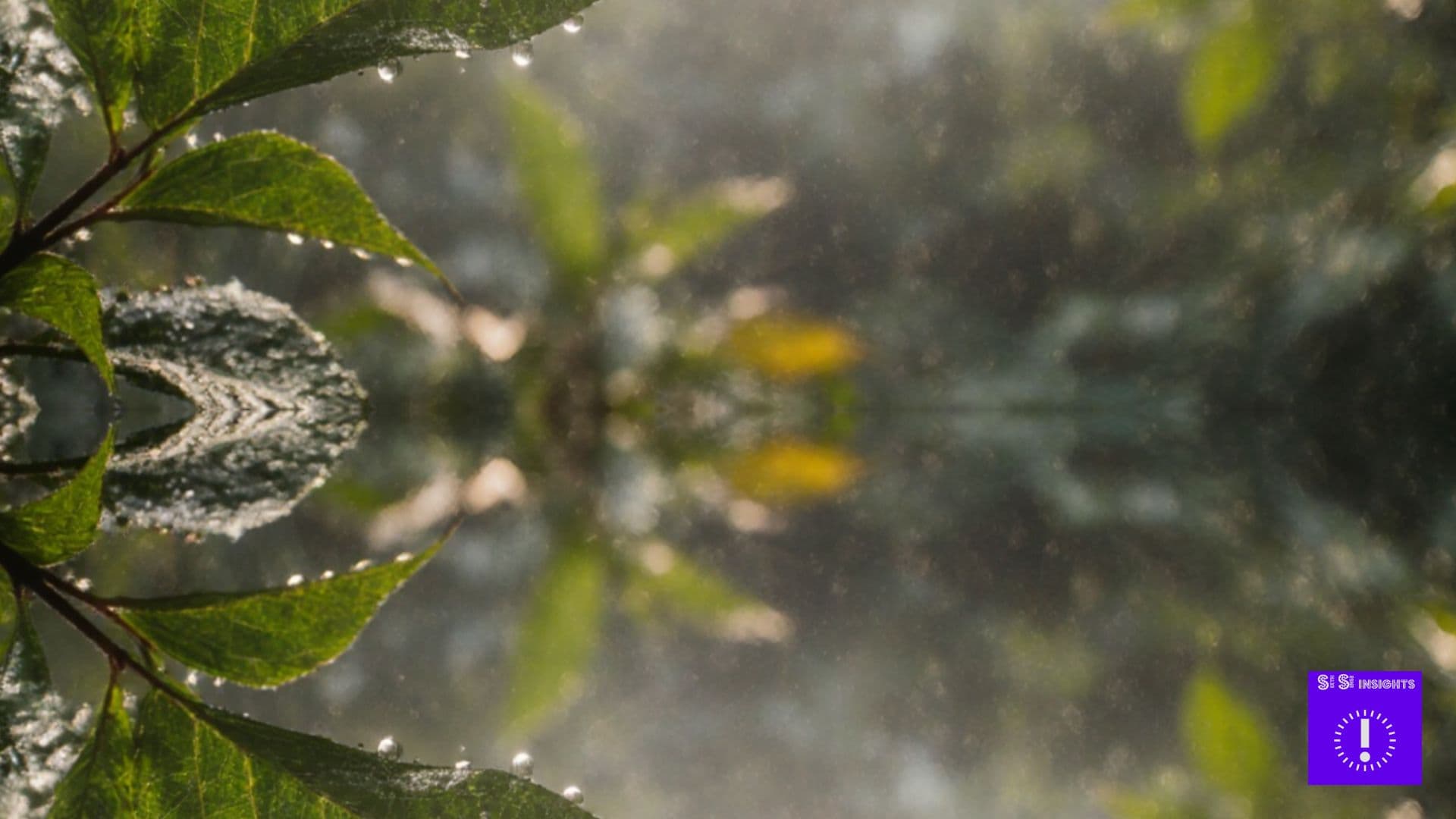 மழை வந்தது மனம் குளிர்ந்தது