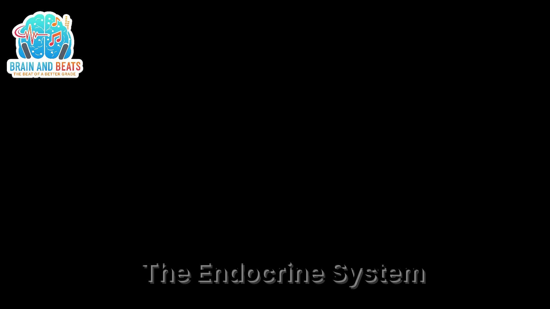 The Endocrine System Explained