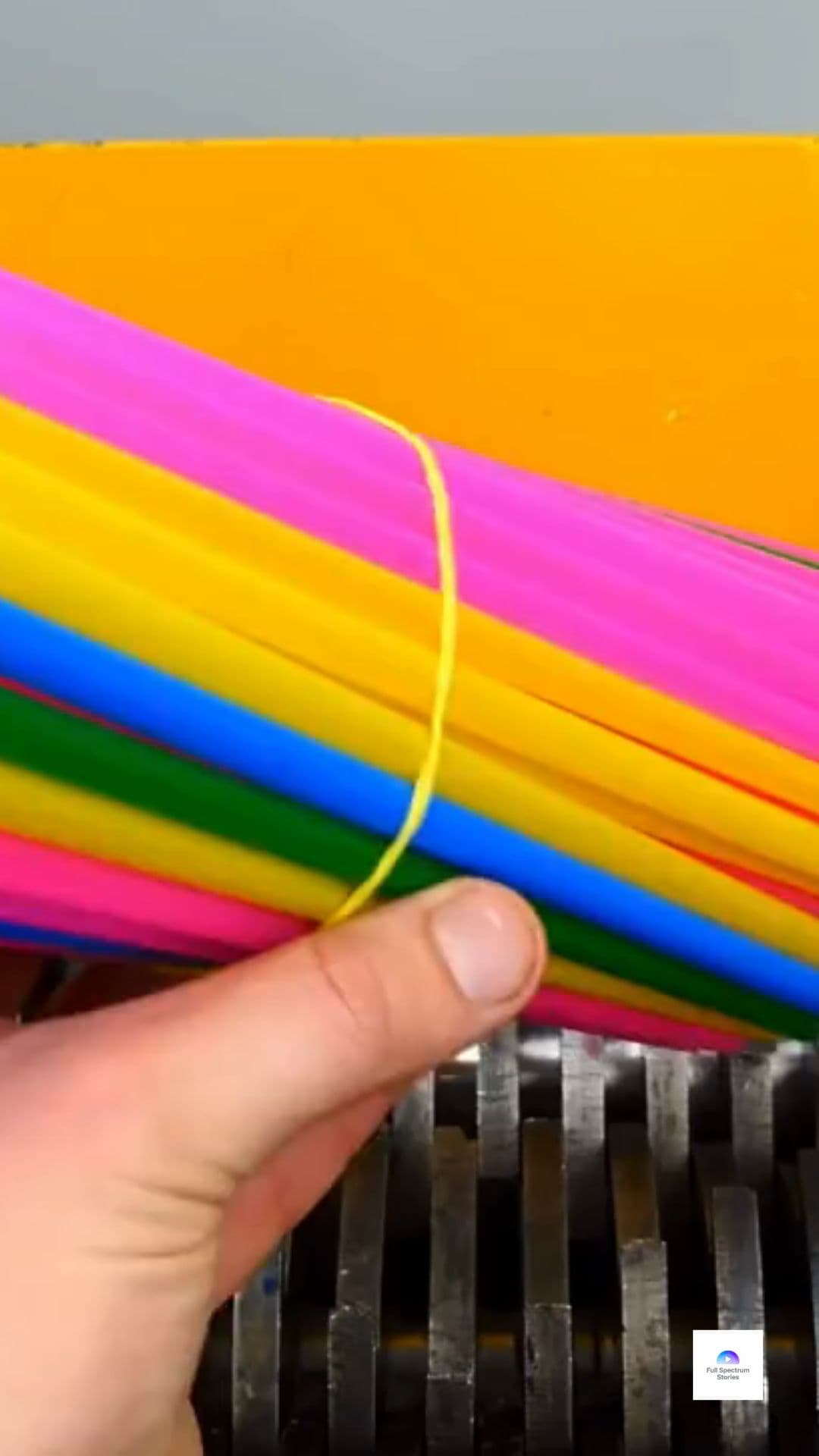 Lunch Revenge Gone Too Far