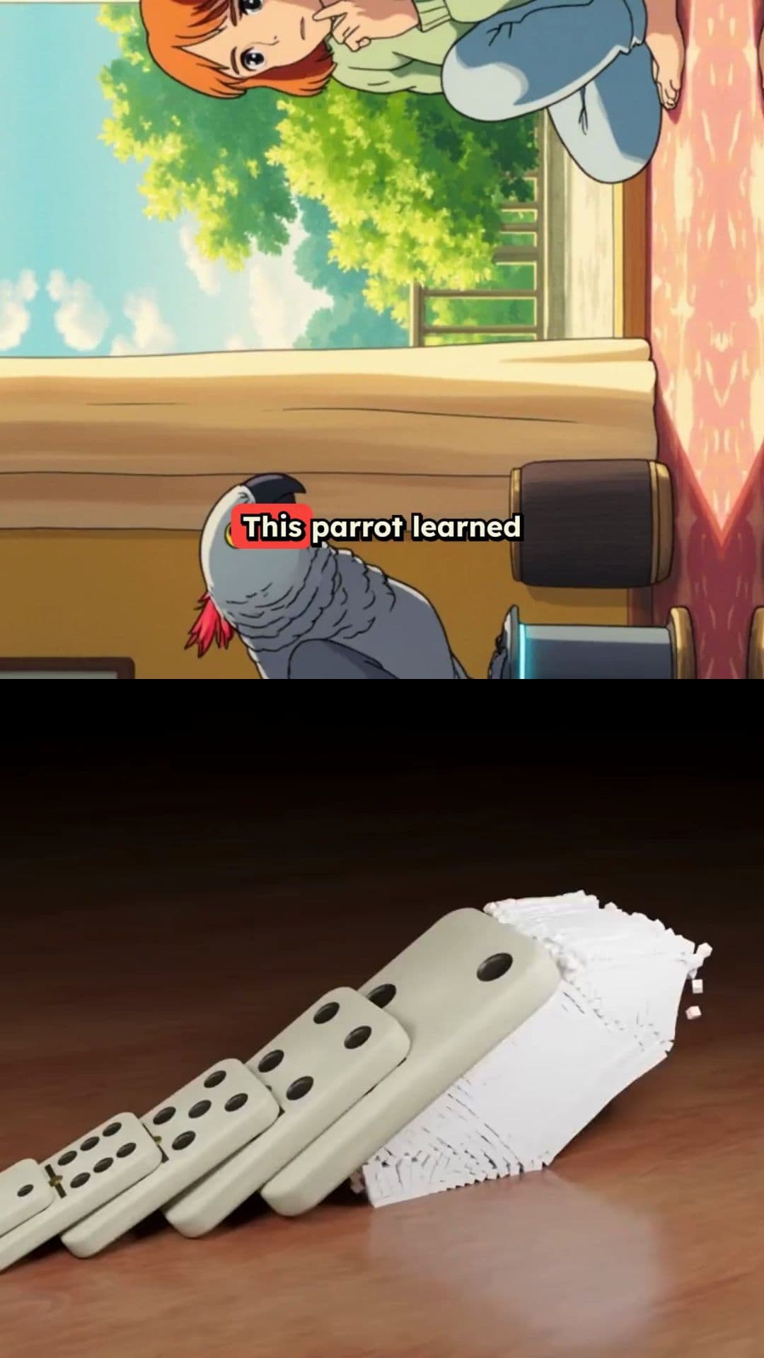 Parrot Learns to Order Pizza on Alexa