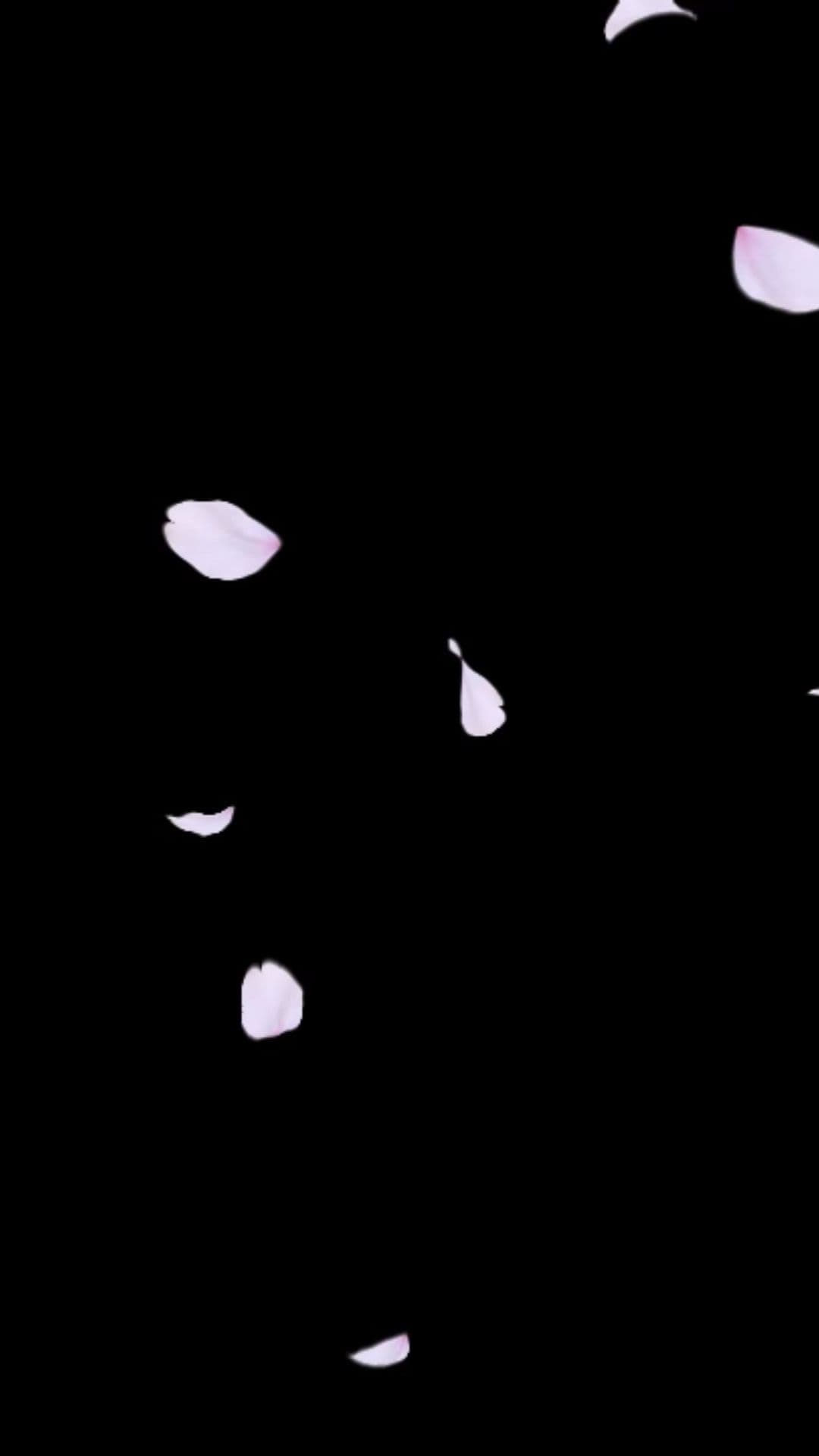 डुडी डम की धुन (duplicated)