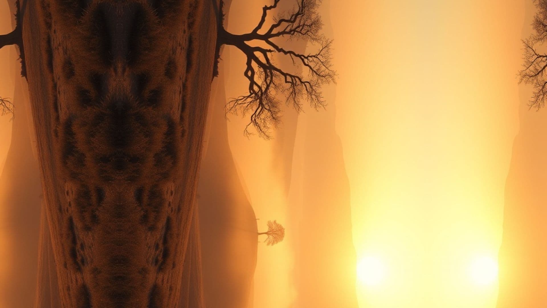 Grateful for My Life