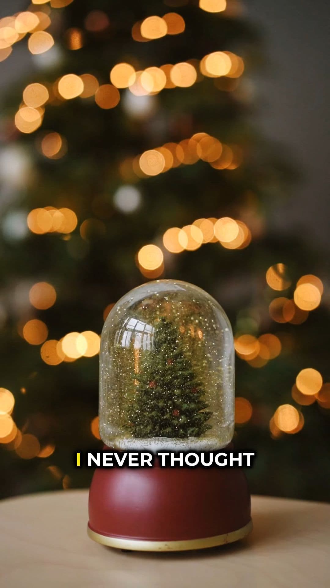 Christmas Day Street Robbery Attempt