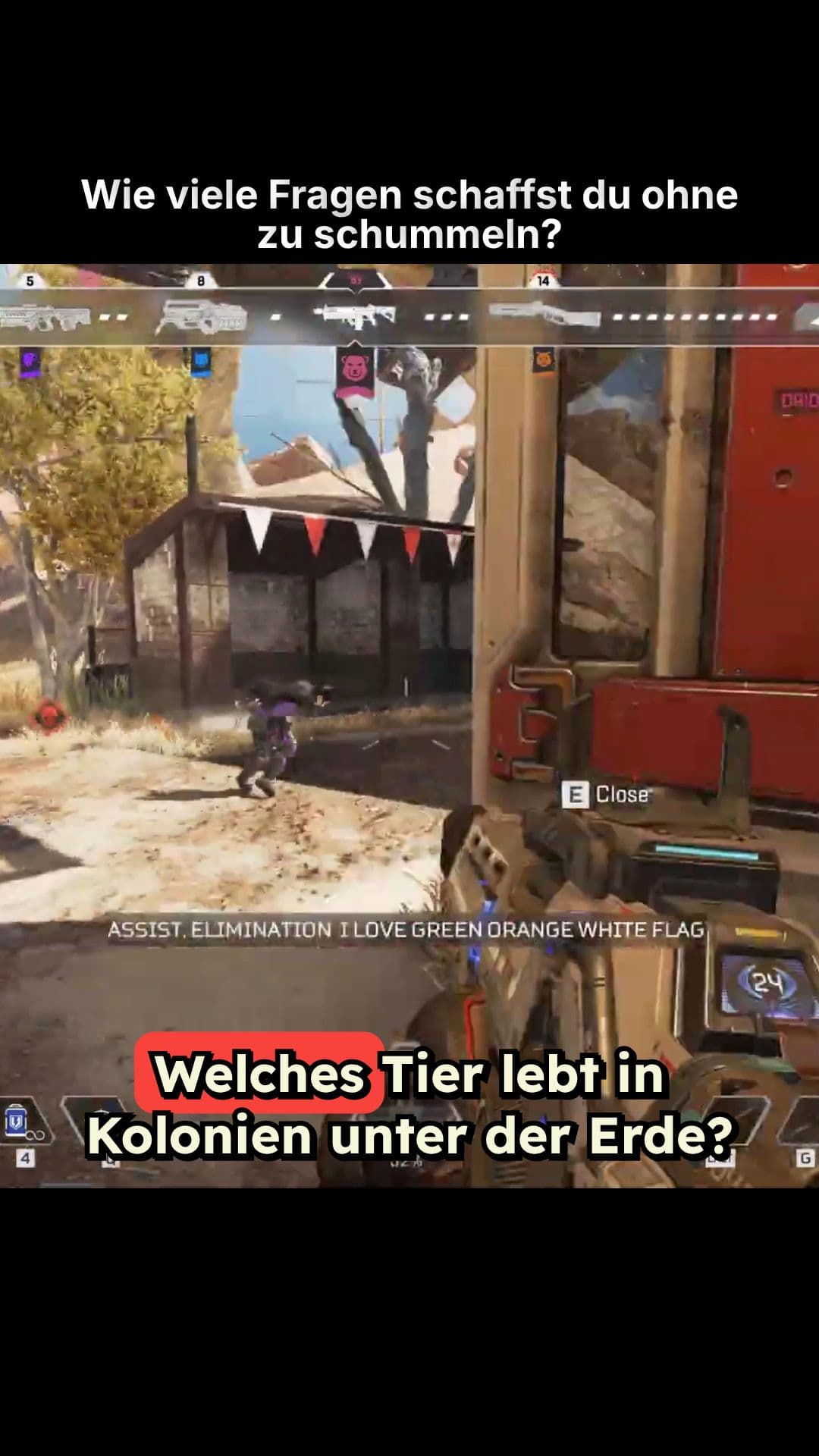 Wie viele Fragen schaffst du ohne zu schummeln?