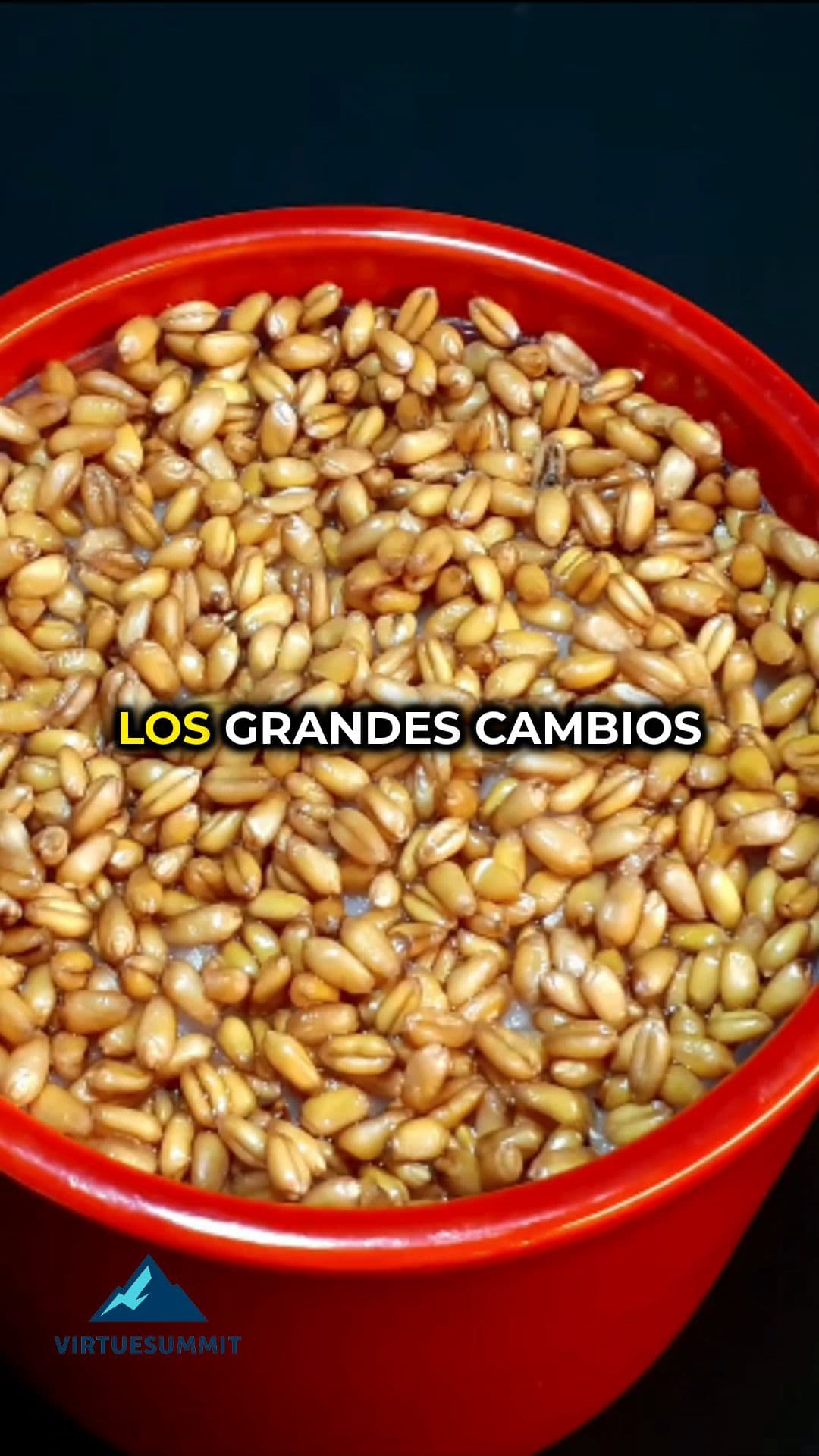 La fuerza de la constancia silenciosa