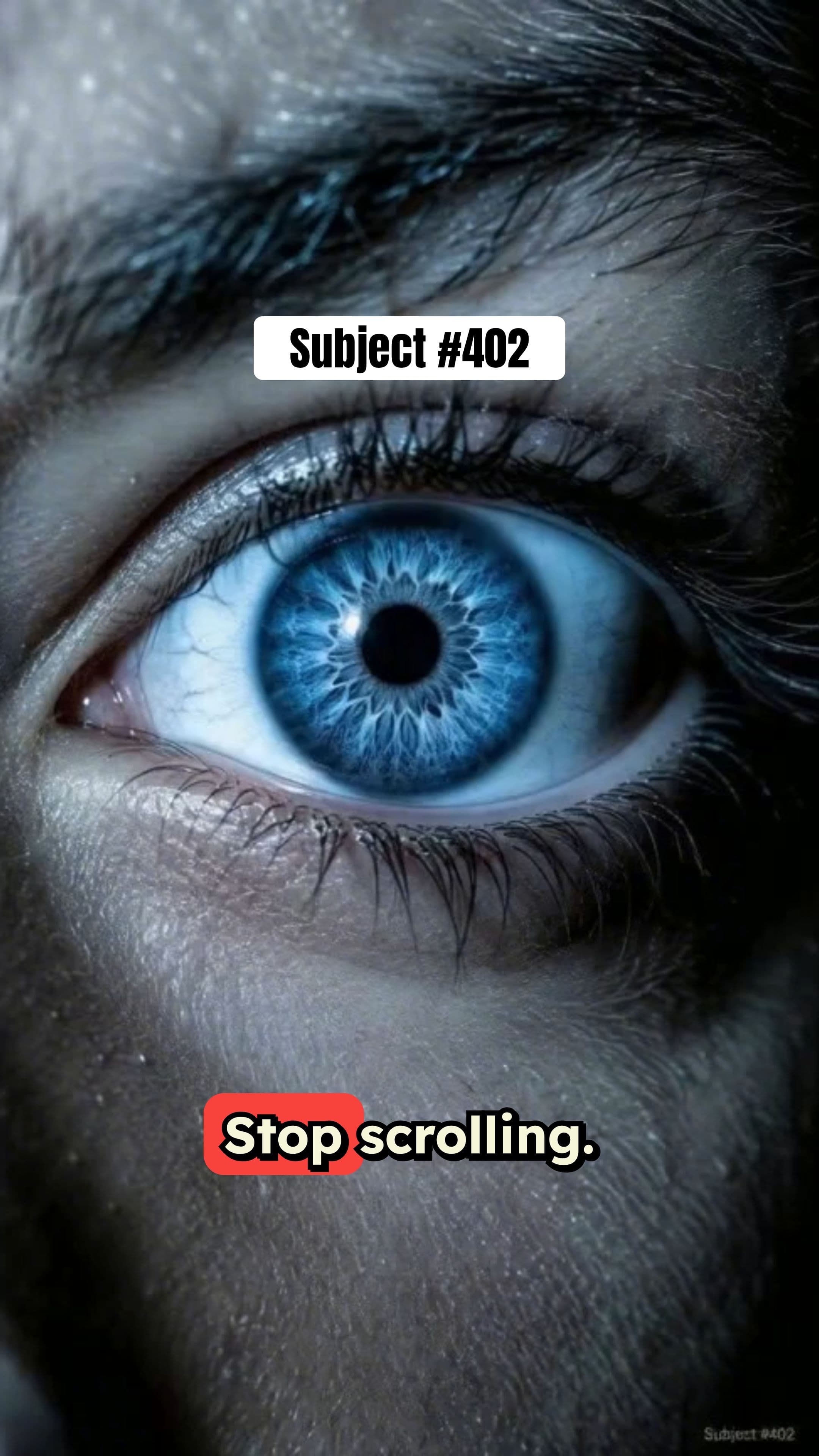 Simulation Leak