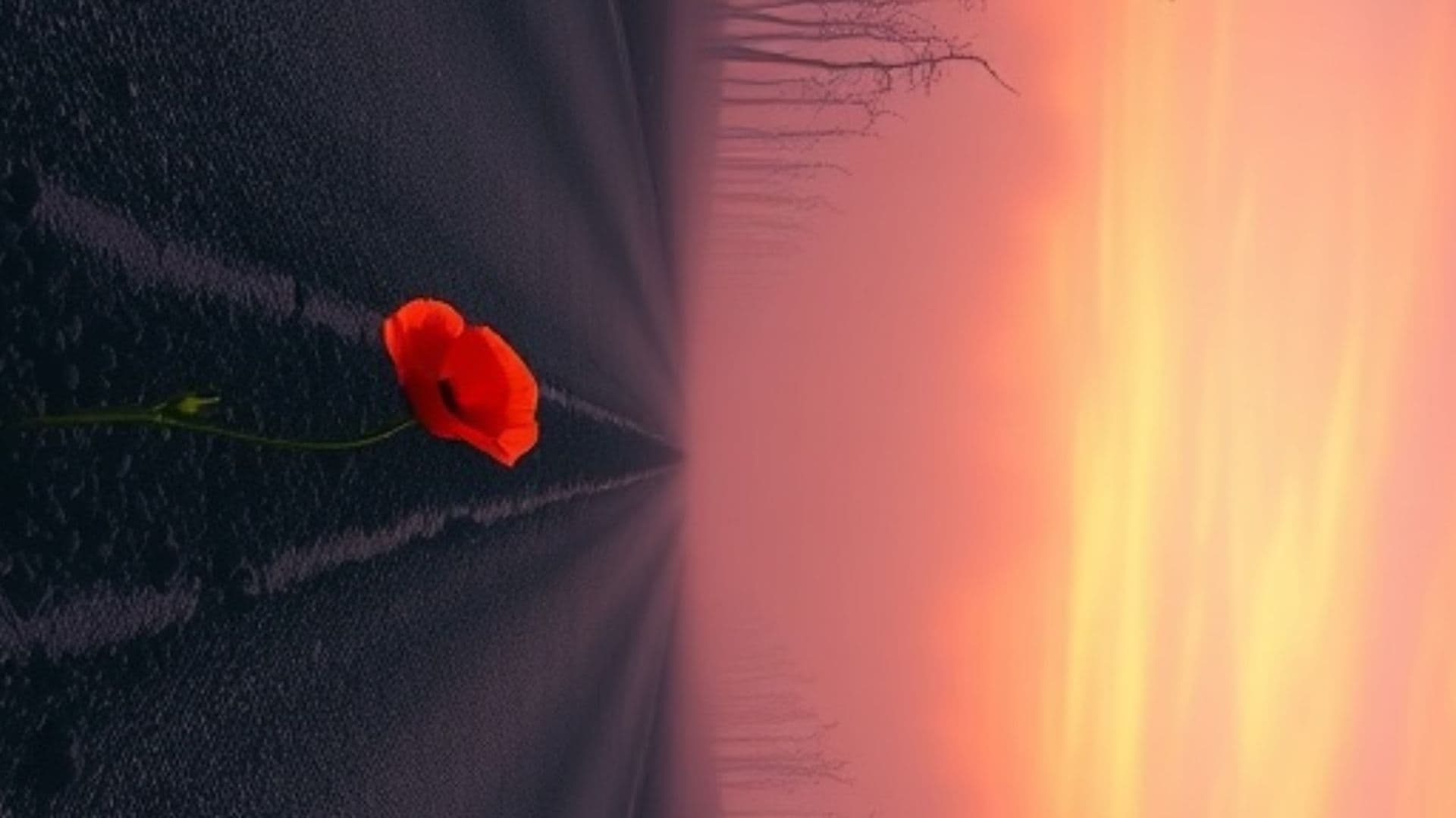 Кому нужна война?