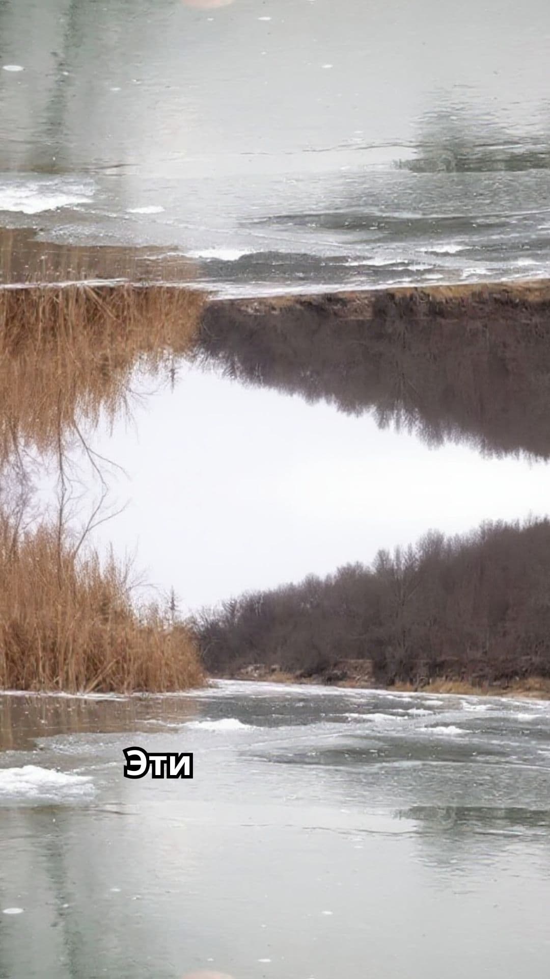 Редкие и удивительные фотографии природы