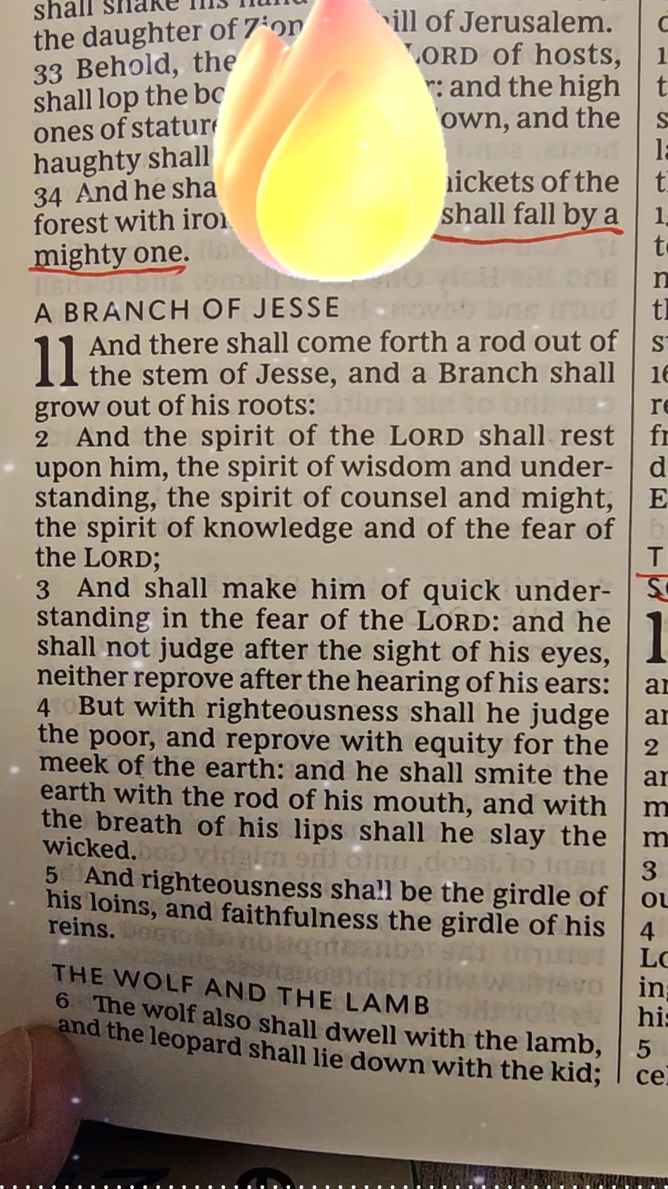 You Didn't Know About The Branch of Jesse 🔥 #shorts #faith #powerful